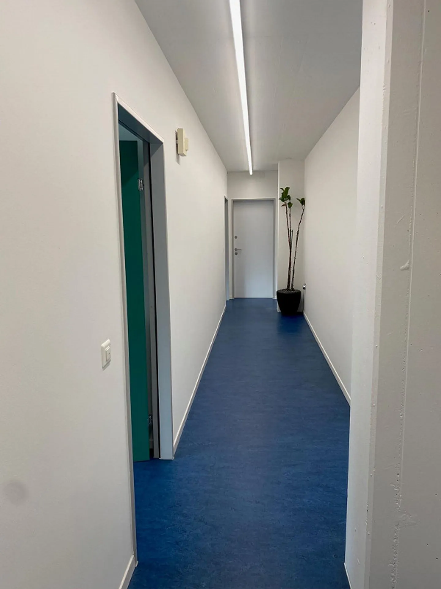 OFFICE and PRACTICE ROOMS in the best location - Photo 6 of 14