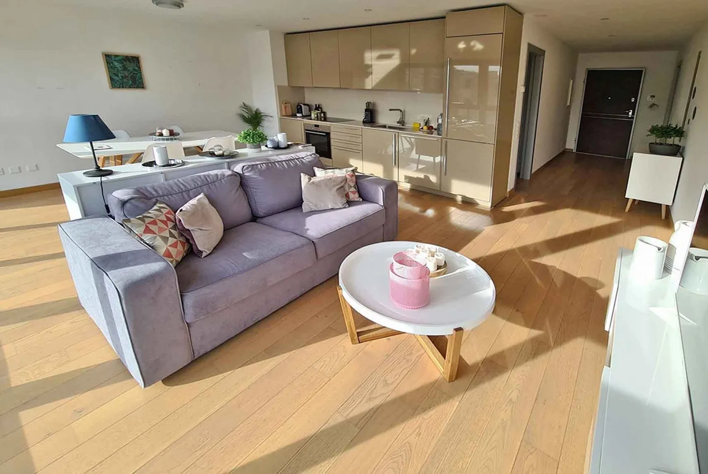 Elegante appartamento di 2,5 locali nel centro di Lugano Massagno - Foto 3 di 9