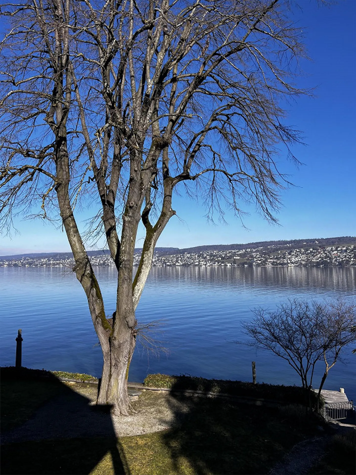 Appartamento 4.0 stanze a Thalwil - Foto 10 di 11