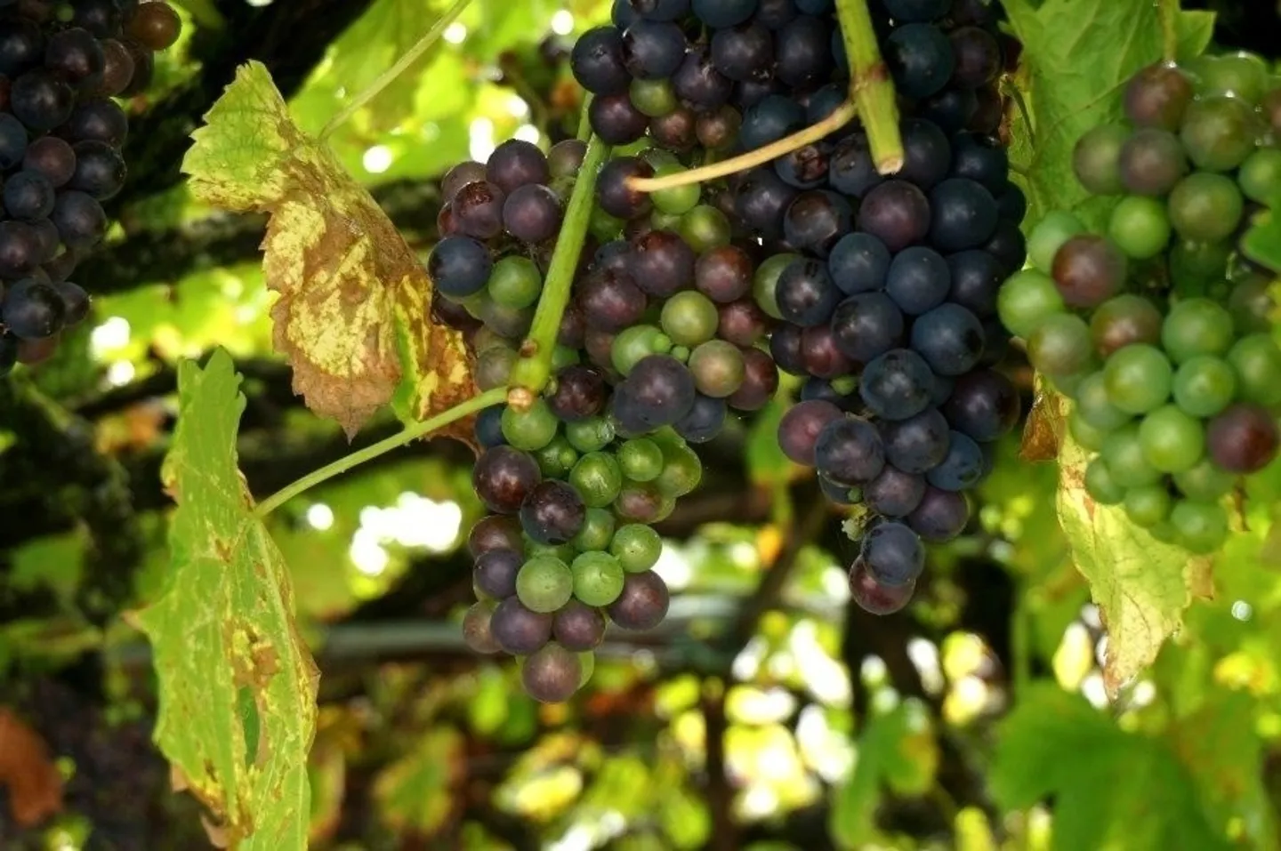 Modern 2.5-room apartment with terrace on the raised ground floor - Photo 4 of 20