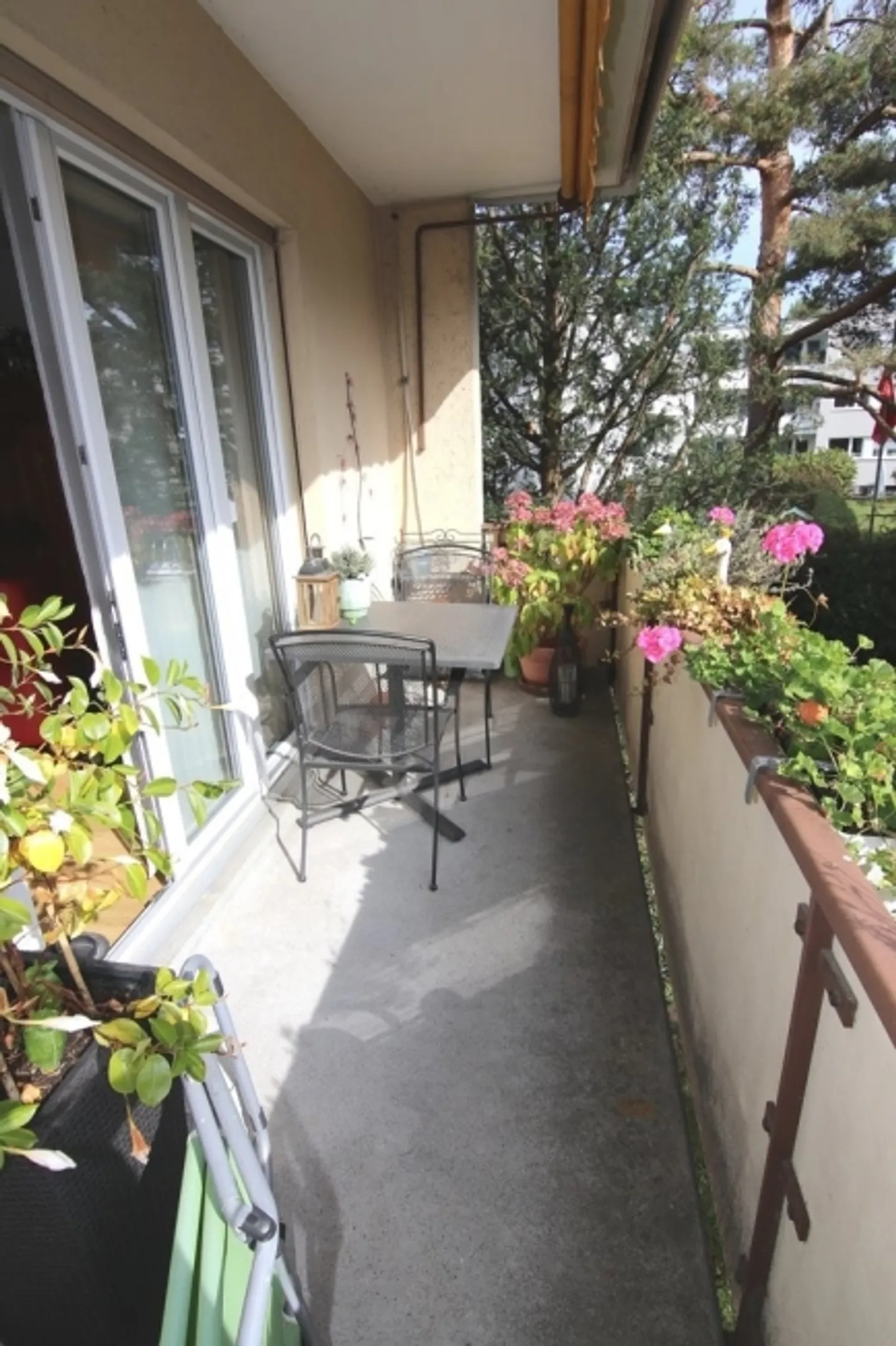 Light-Filled 3-Room Apartment in Zurich Wollishofen - Photo 6 of 6