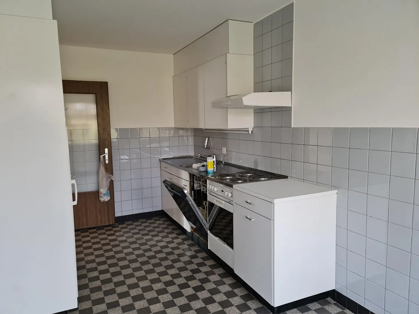 Spacious 3.5-room apartment with simple finish - Photo 2 of 6