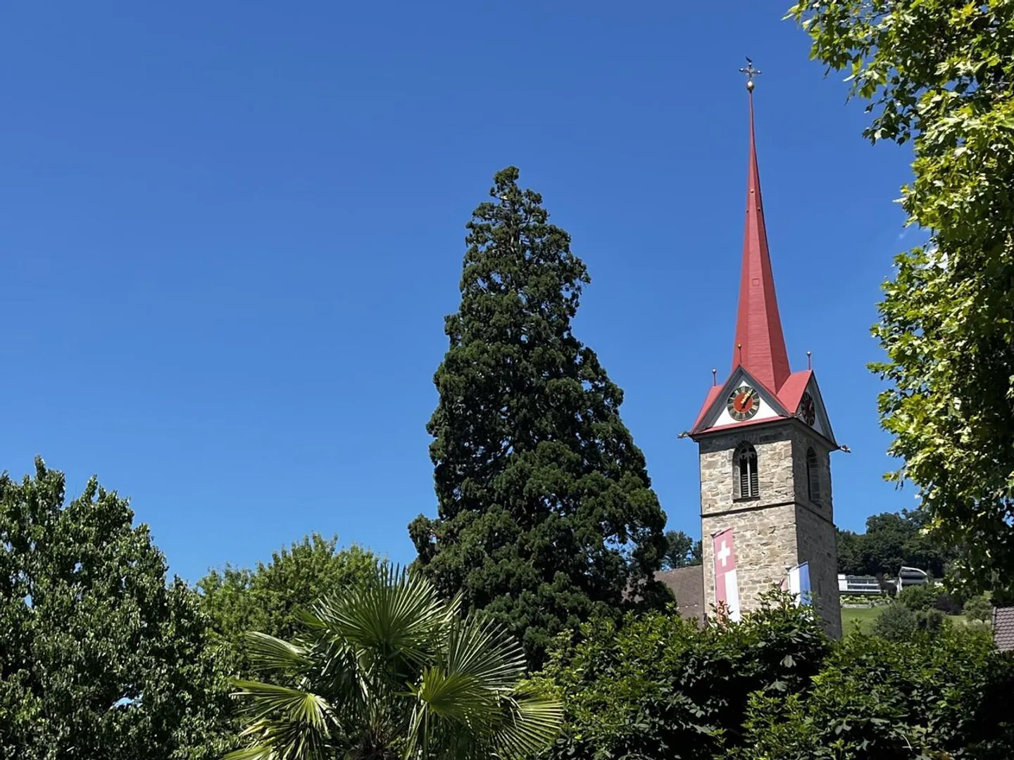 Cooperativa - VENDITA RISERVATA CON VISTA SUL LAGO DEI QUATTRO CANTONI - Foto 2 di 6