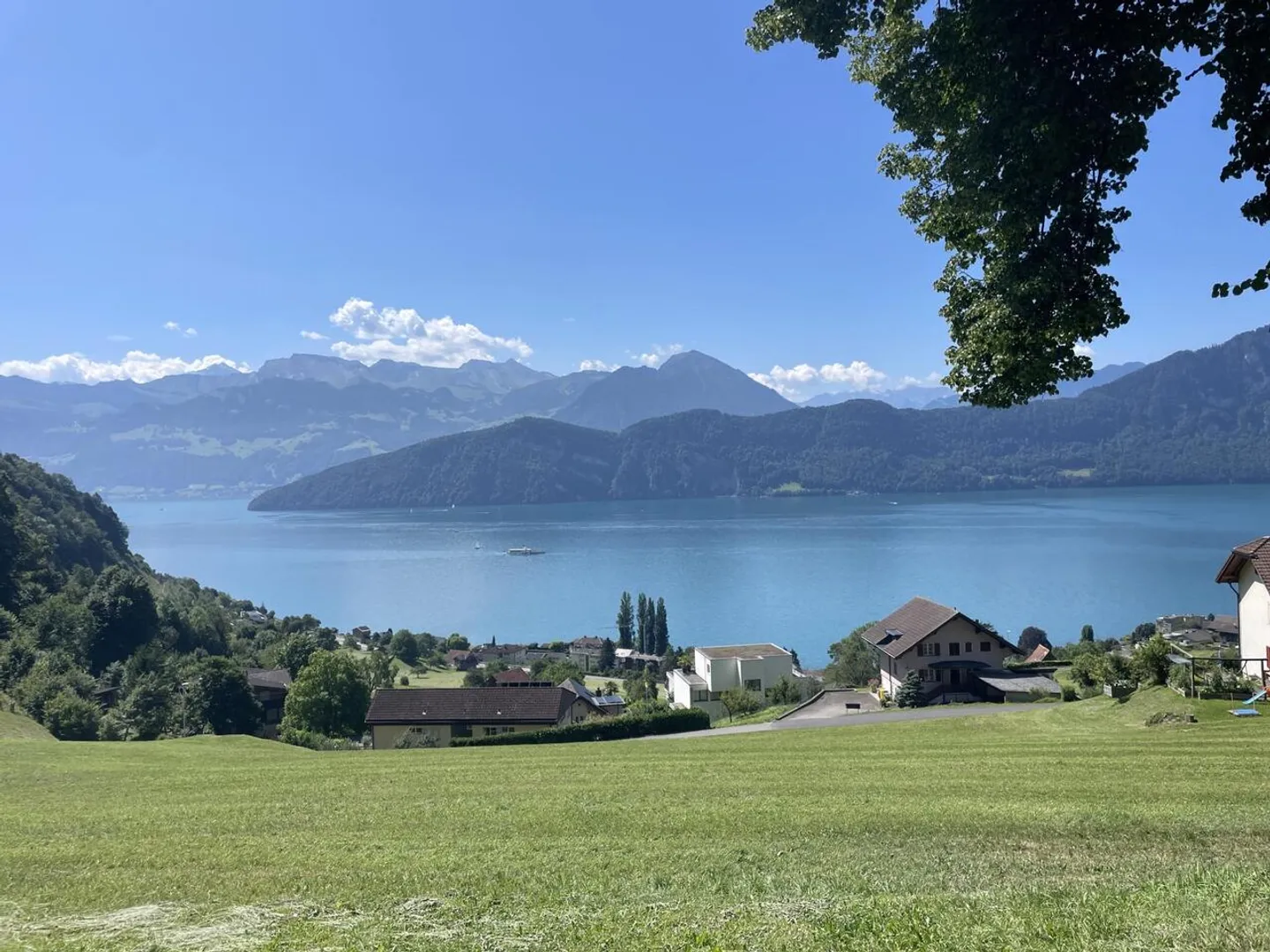 Cooperativa - VENDITA RISERVATA CON VISTA SUL LAGO DEI QUATTRO CANTONI - Foto 3 di 6