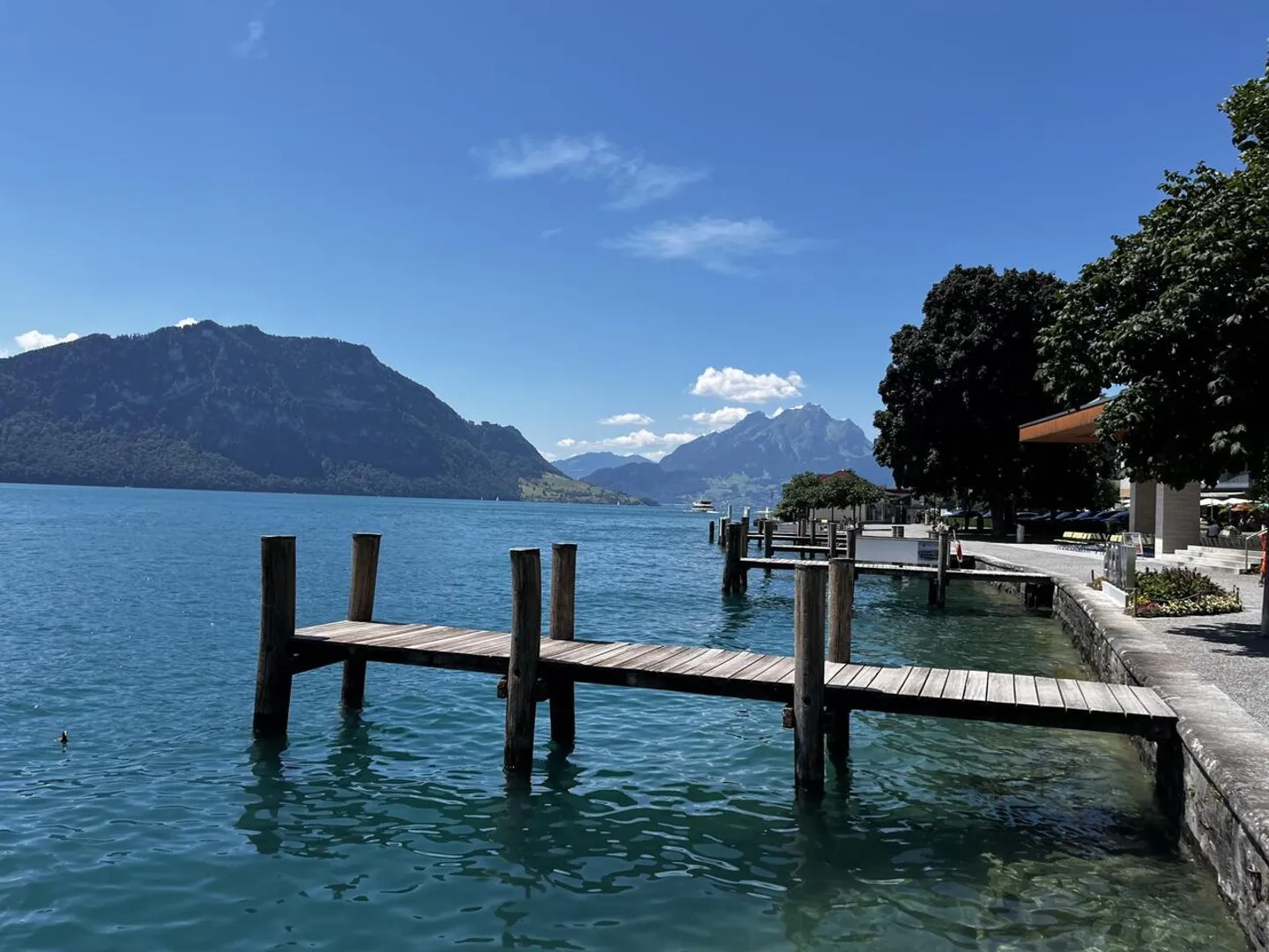 Cooperativa - VENDITA RISERVATA CON VISTA SUL LAGO DEI QUATTRO CANTONI - Foto 6 di 6