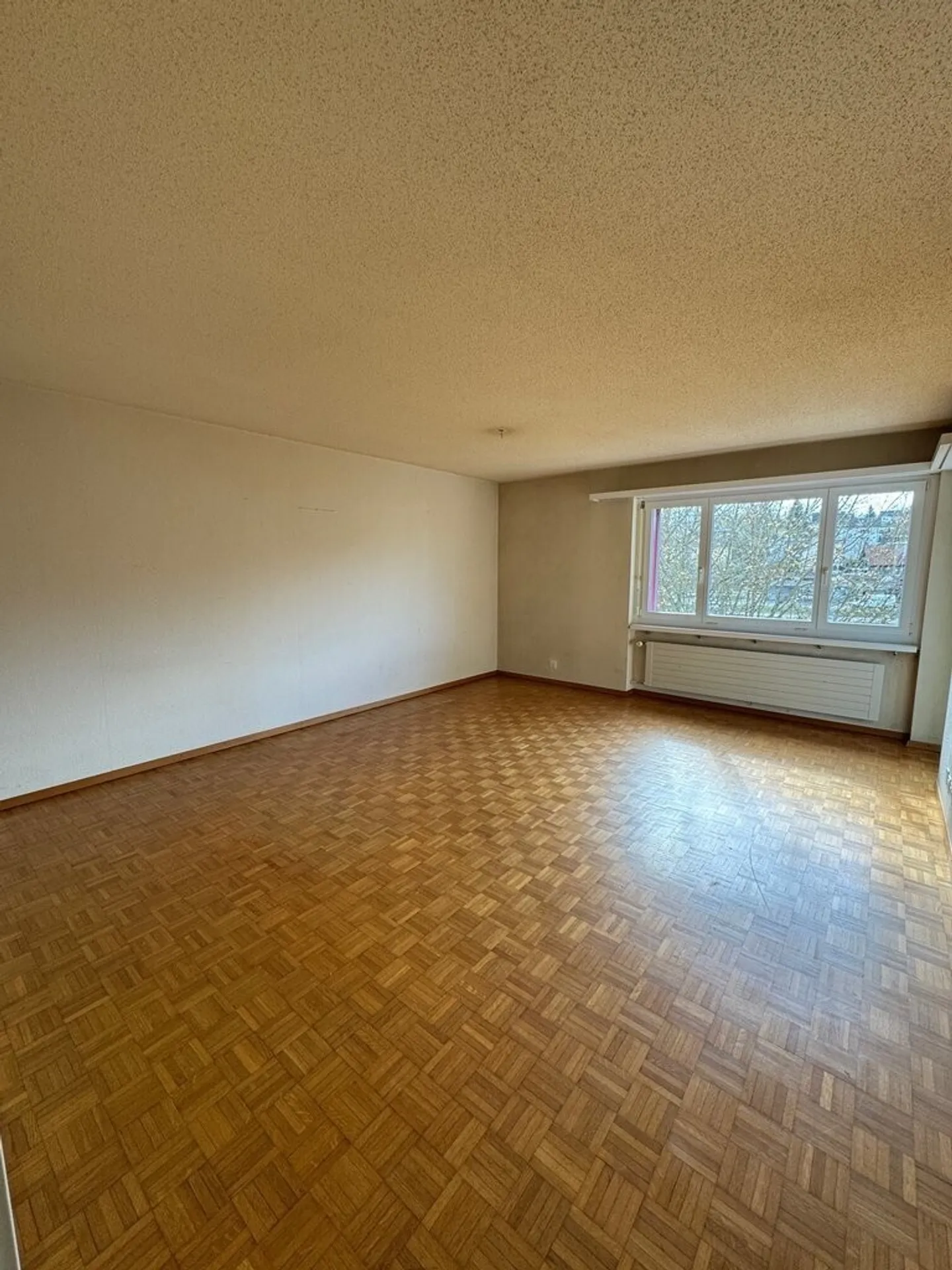 Belle vie - Photo 1 sur 5