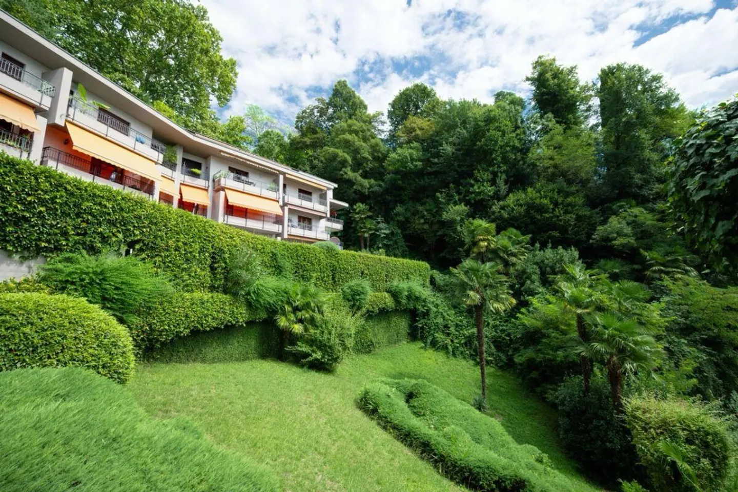 Dream lake view, immersed in the tranquility of green - Photo 4 of 11