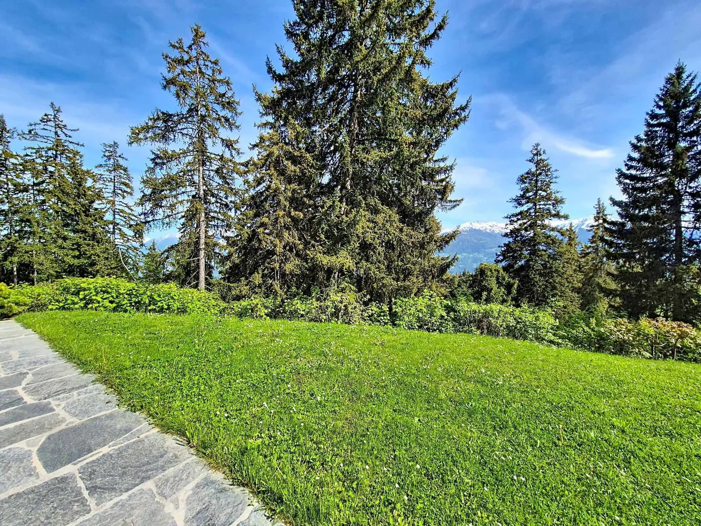 Charming 3.5 Room Apartment, Chalet Atmosphere and Ski-in/Ski-out Access - Photo 8 of 8