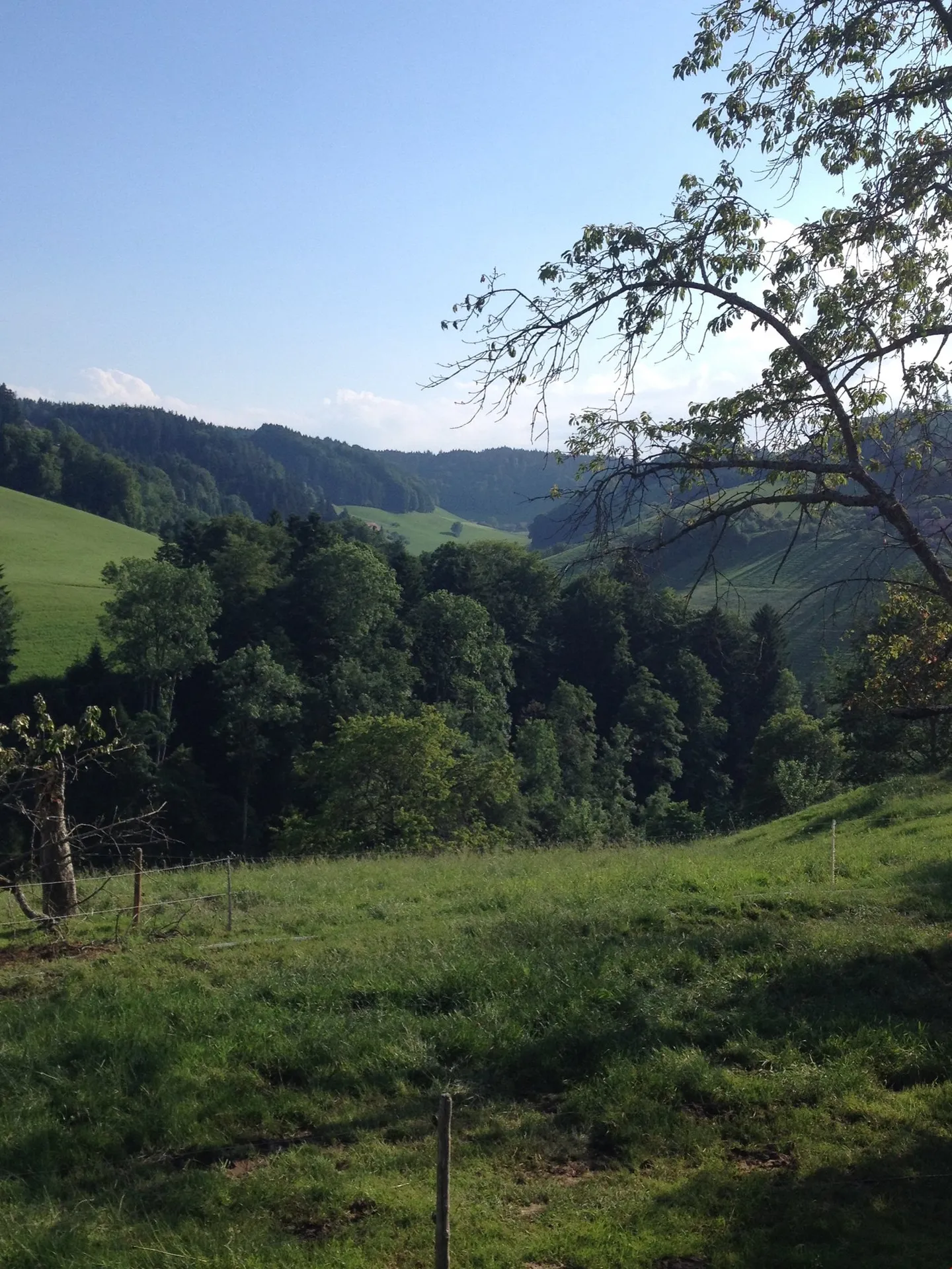 Charming 2-room apartment in a farmhouse - Photo 5 of 12
