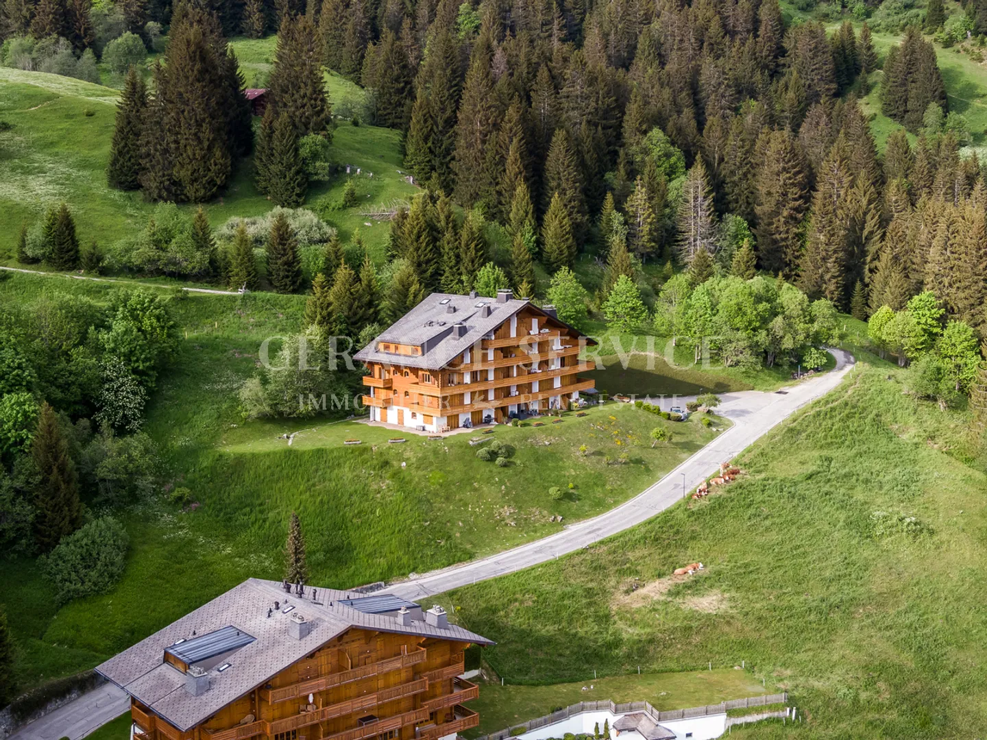 Balcon des Alpes 4 - Photo 1 sur 9