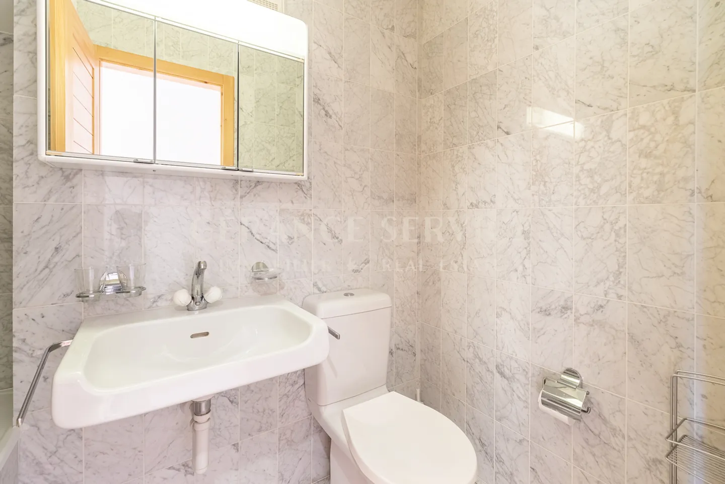 Balcon des Alpes 4 - Photo 5 sur 9