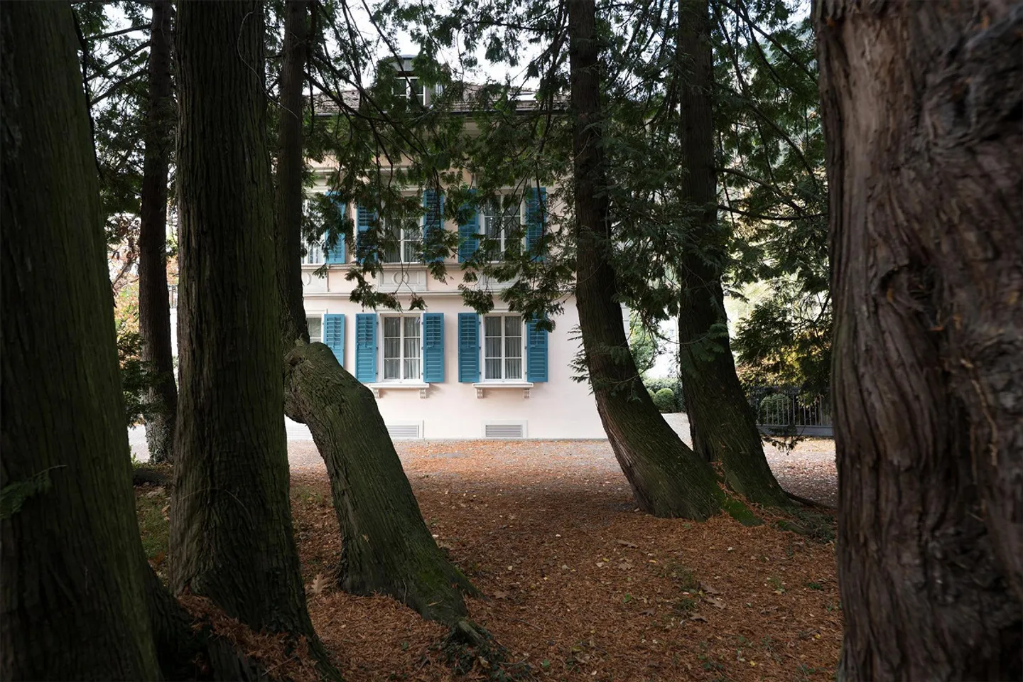 Villa unica con 1.919 m² di terreno nel centro di Altdorf - Foto 7 di 25