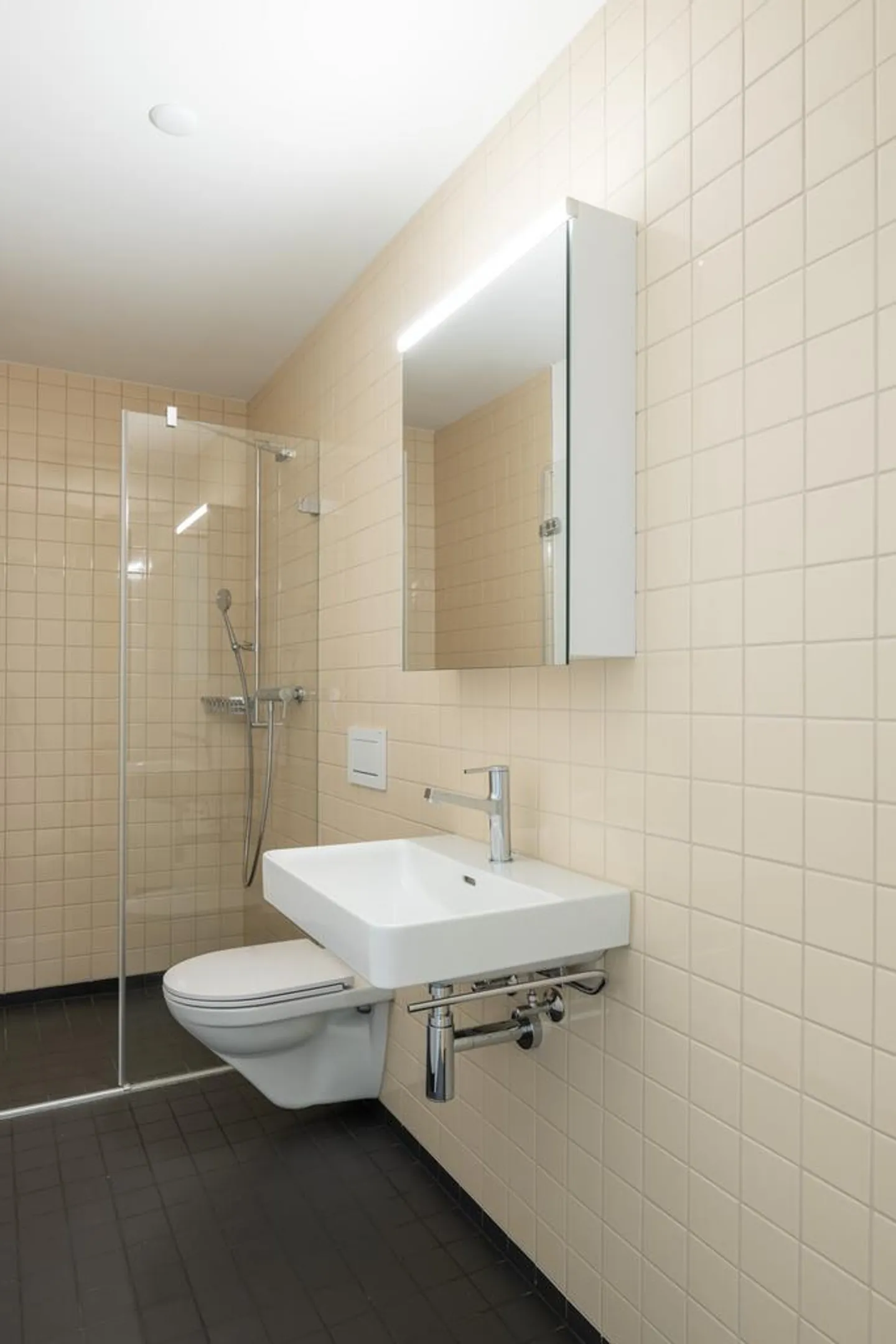 3.5 Room Apartment - Photo 5 of 5