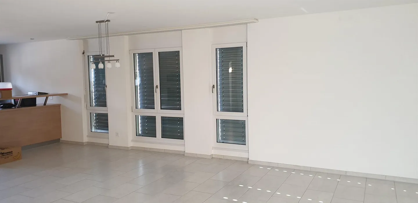 Beautiful, bright 5.5-room maisonette loft apartment with winter garden + Säntis view - Photo 7 of 21