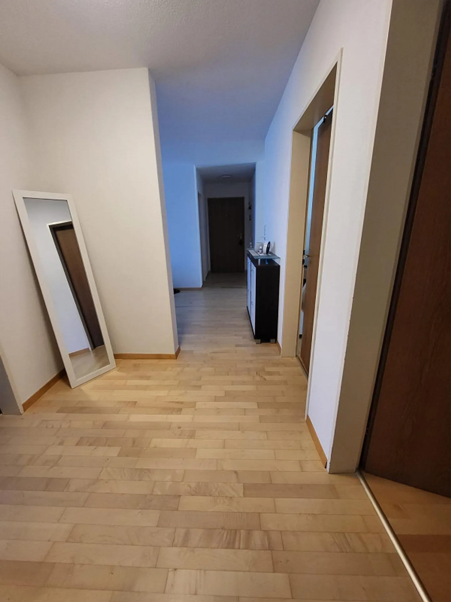 Bright, sunny apartment - Photo 5 of 12