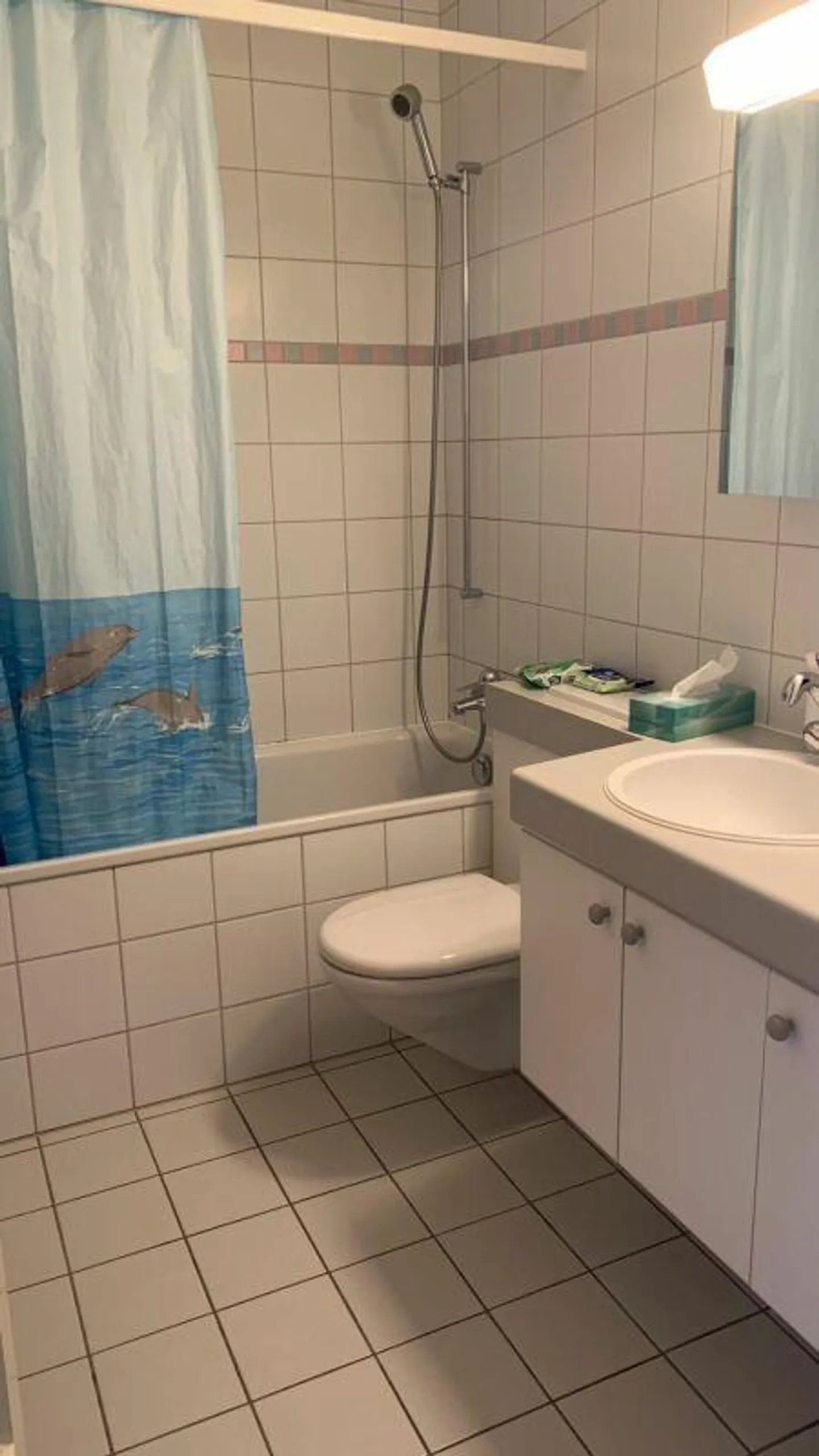 2-Zimmerwohnung im Schosshaldenquartier sucht neue Mieter Kopie - Foto 3 von 8