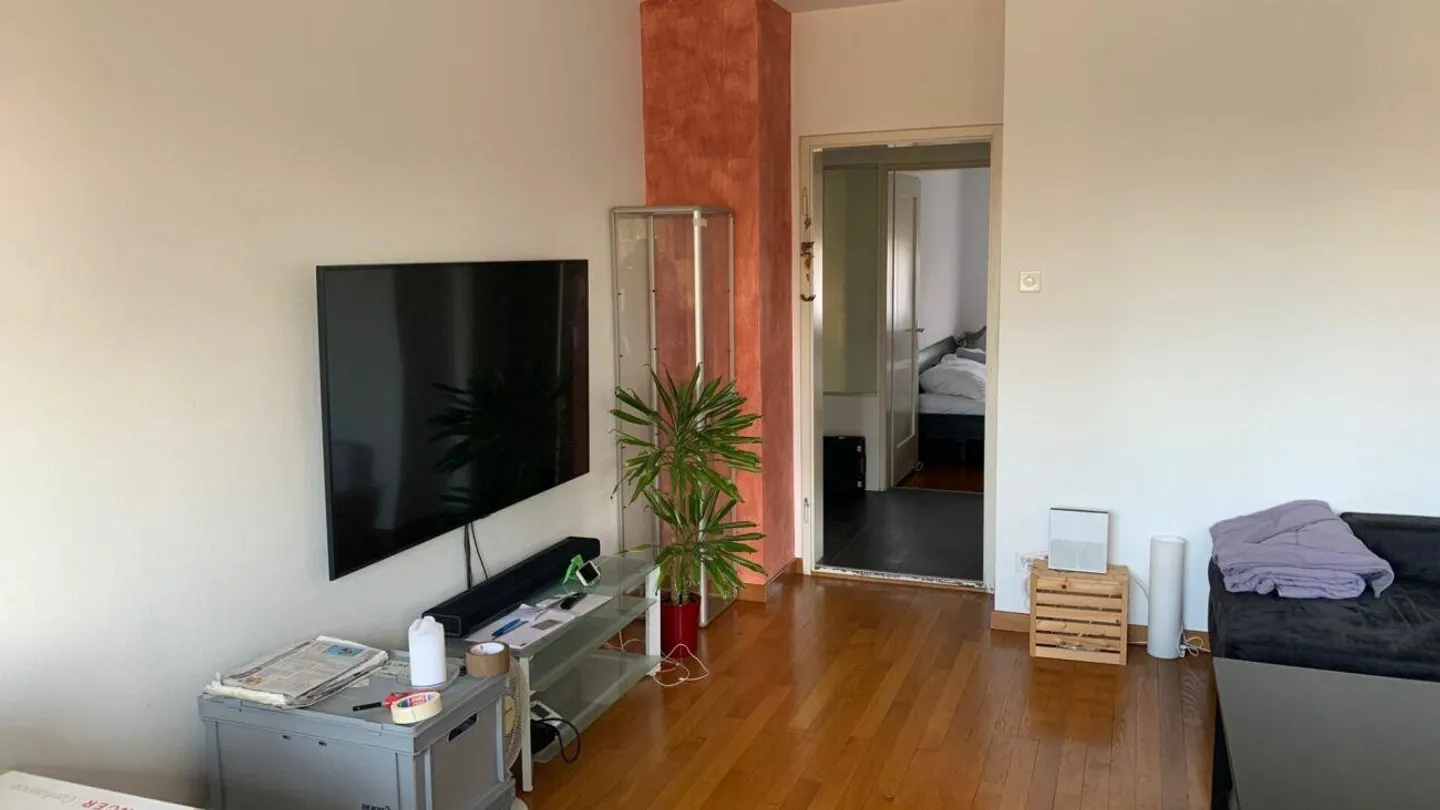 2-Zimmerwohnung im Schosshaldenquartier sucht neue Mieter Kopie - Foto 6 von 8