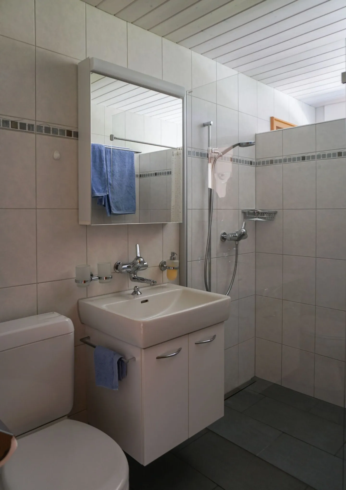 Single-family house in the countryside - Photo 7 of 20