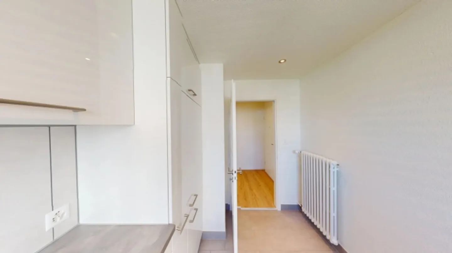 Bright, Renovated Apartment Ideal for Young Professionals - Photo 13 of 13