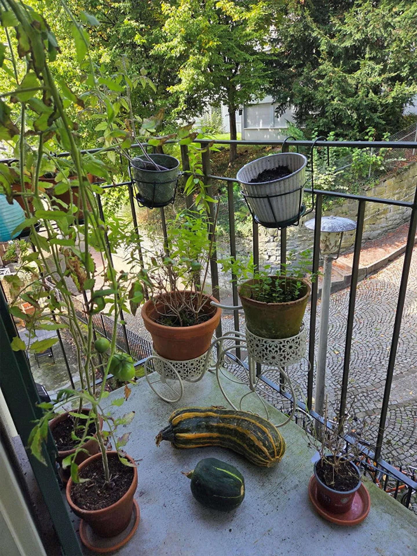 Petit mais agréable - Vivre à Löwenplatz - Photo 2 sur 6