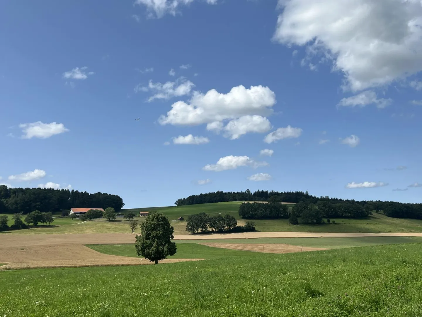 Villa moderne 5.5 pièces avec jardin privé – Vuisternens-devant-Romont - Photo 7 sur 7