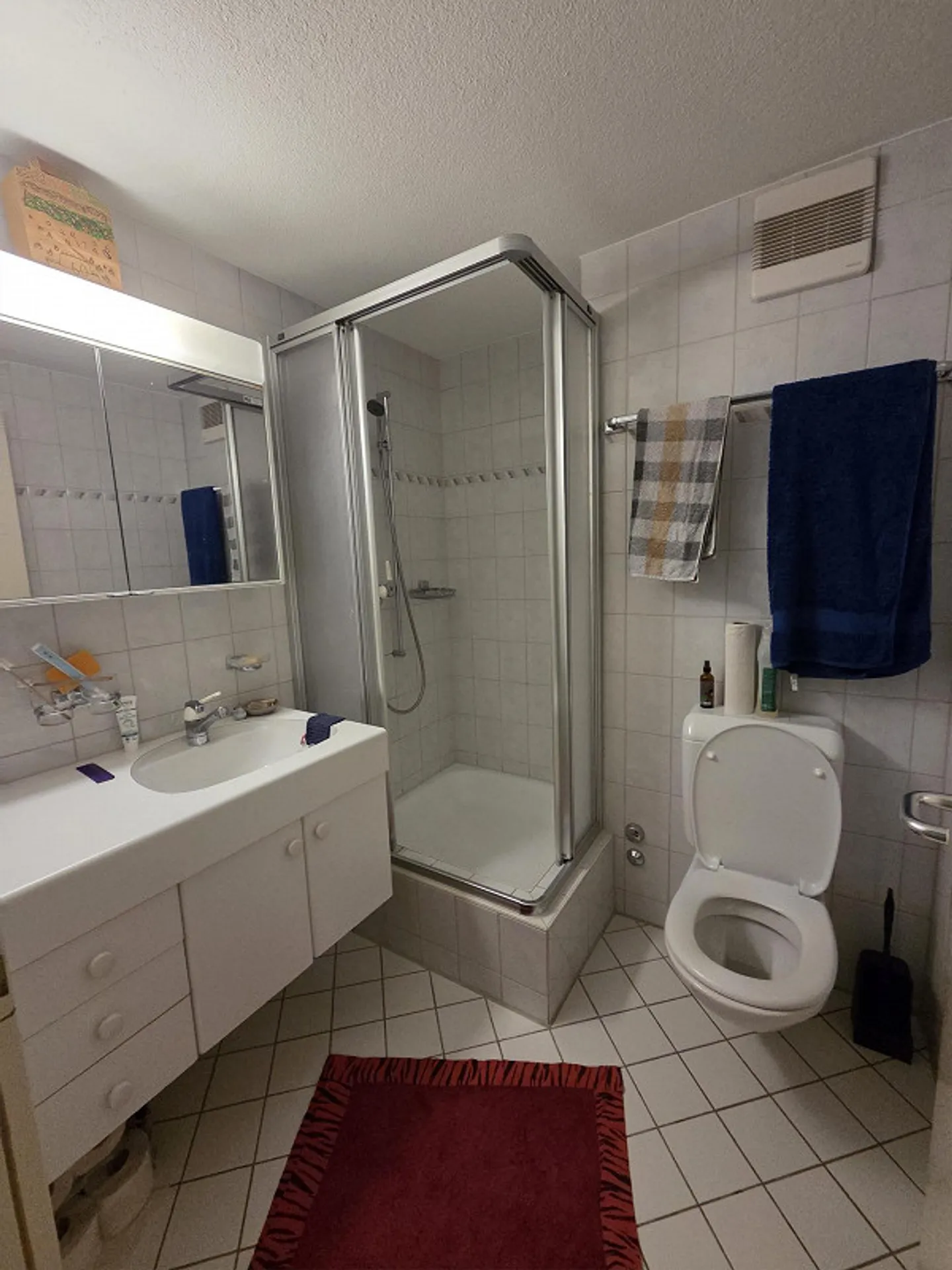 Petit mais agréable - Vivre à Löwenplatz - Photo 5 sur 6