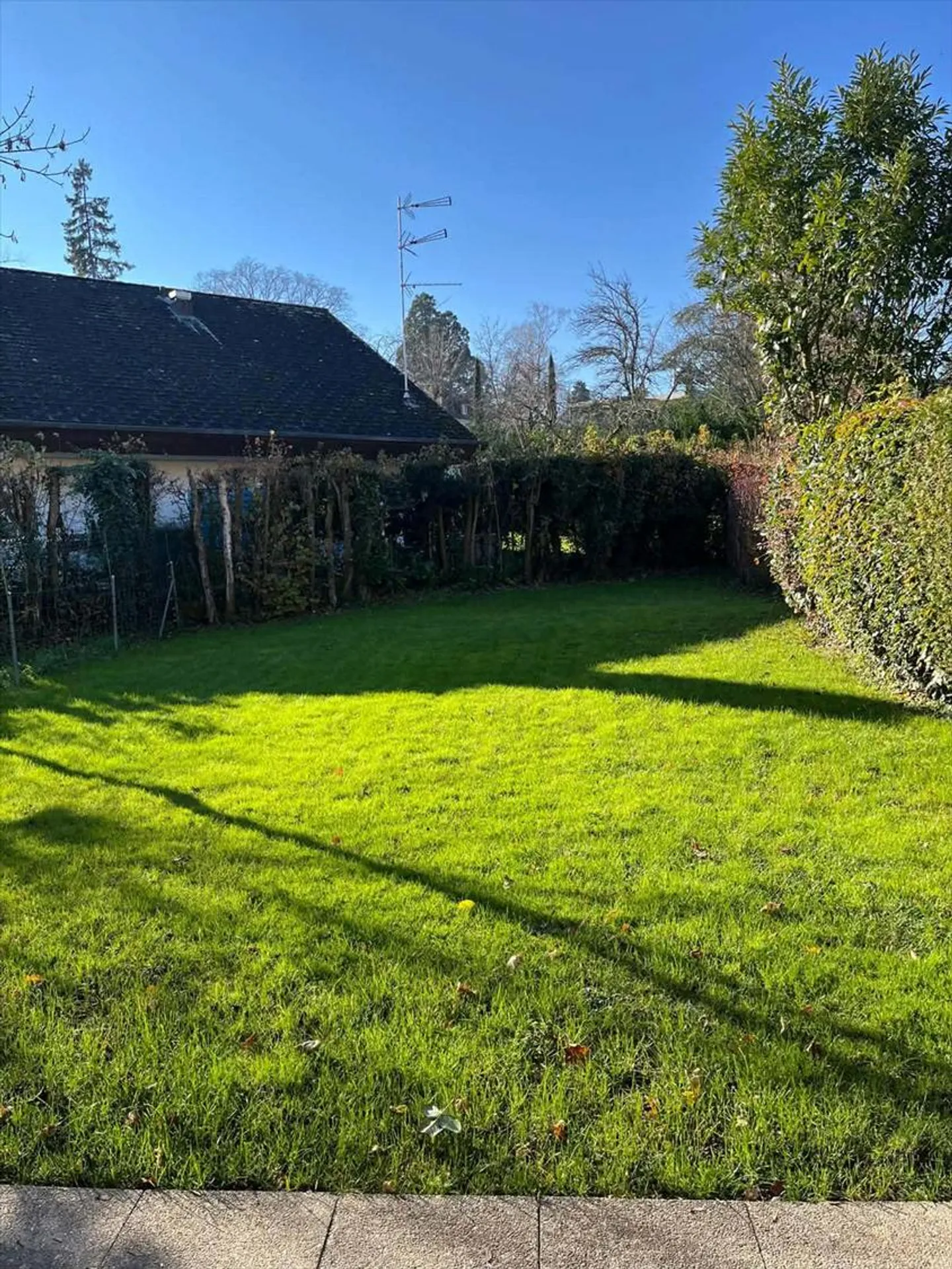 6.5 Room Apartment - Photo 10 of 12