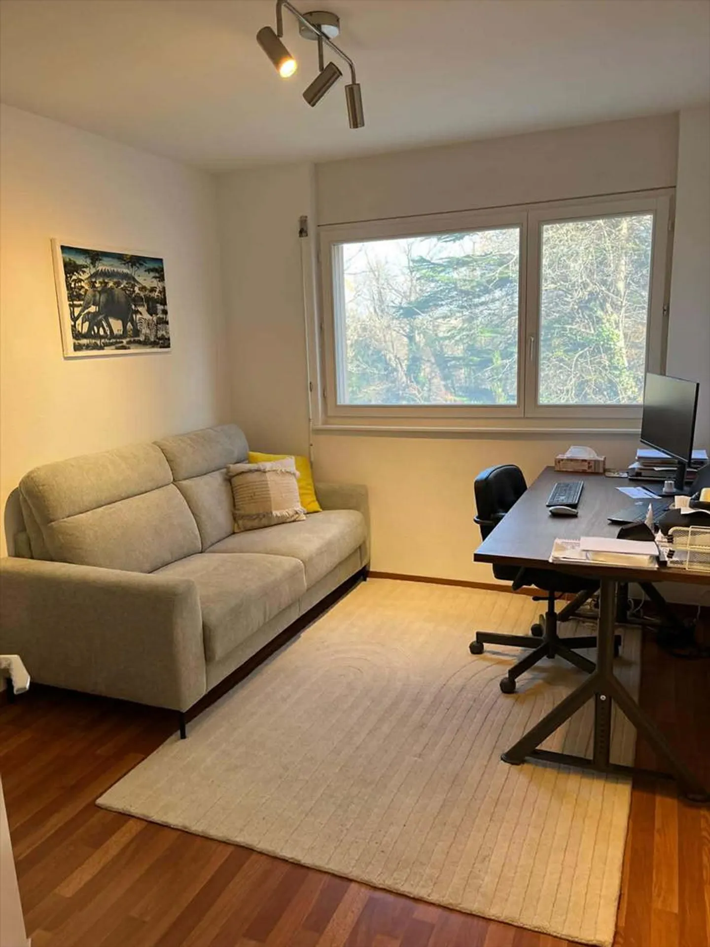 6.5 Room Apartment - Photo 8 of 12