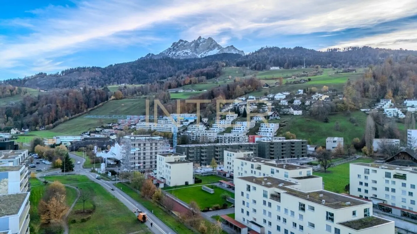 Pilatus View Included - Stylish Condominium in a Quiet Location - Photo 13 of 16