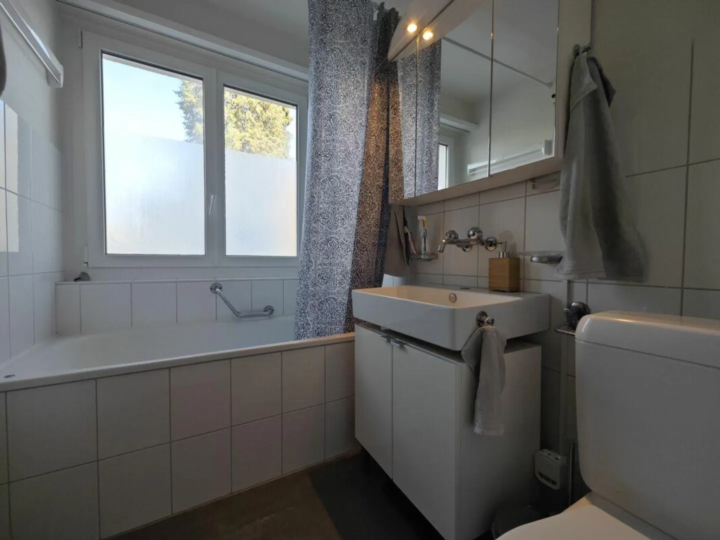 Central Living - Bright 3-Room Apartment near Rosenmatt Park - Photo 7 of 9