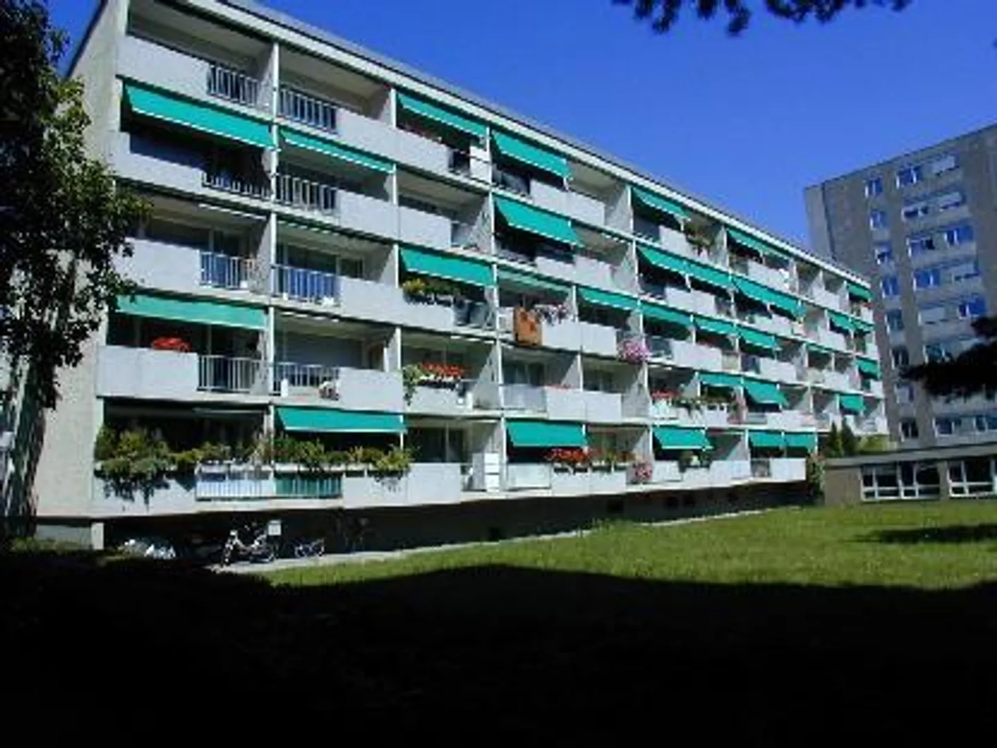 Appartamento per over 60 - Bell'appartamento per anziani di 1,5 stanze a Berna - Foto 1 di 7