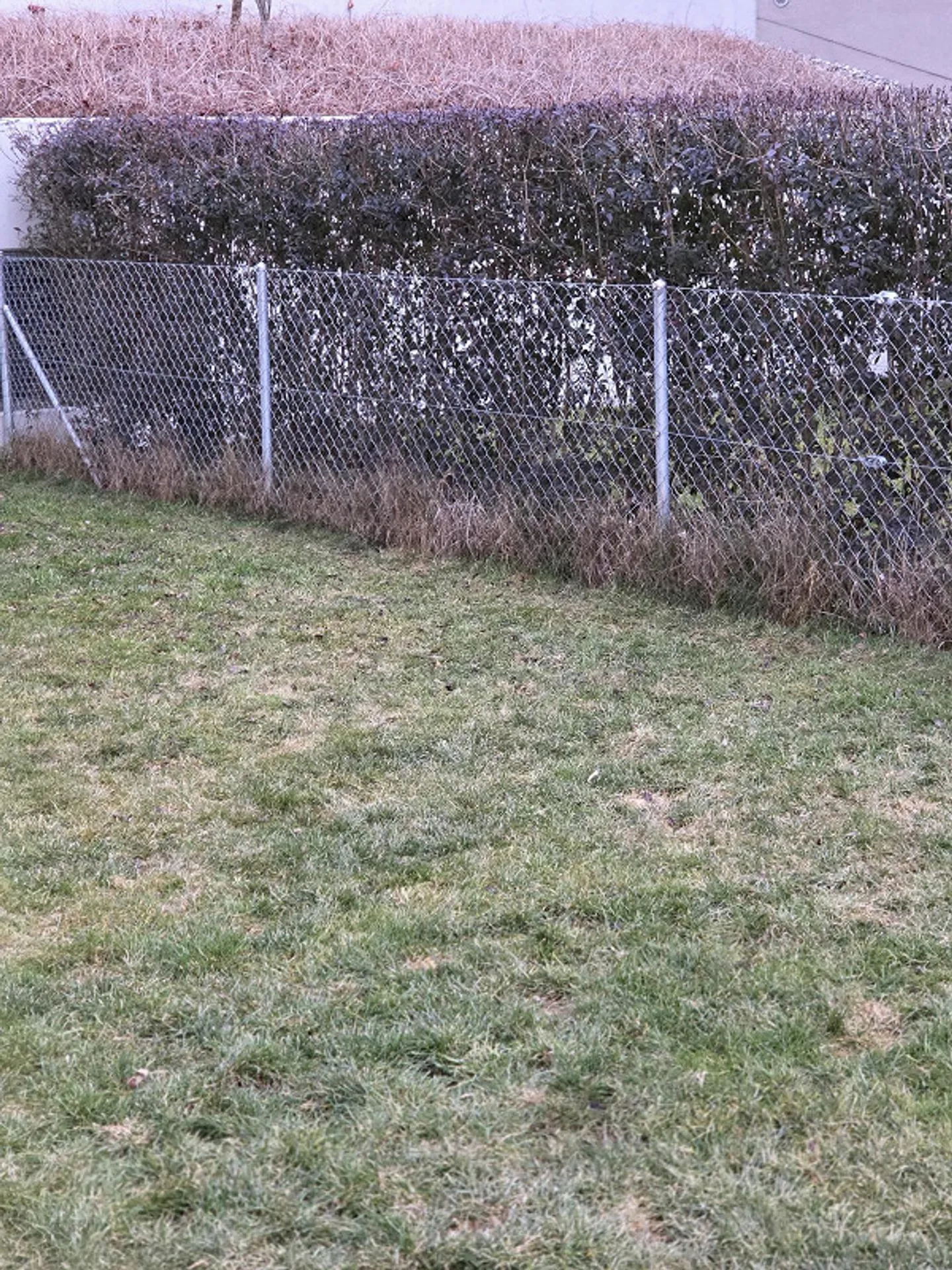 Apartment with 3 1/2 rooms on the ground floor and basement - Photo 20 of 27