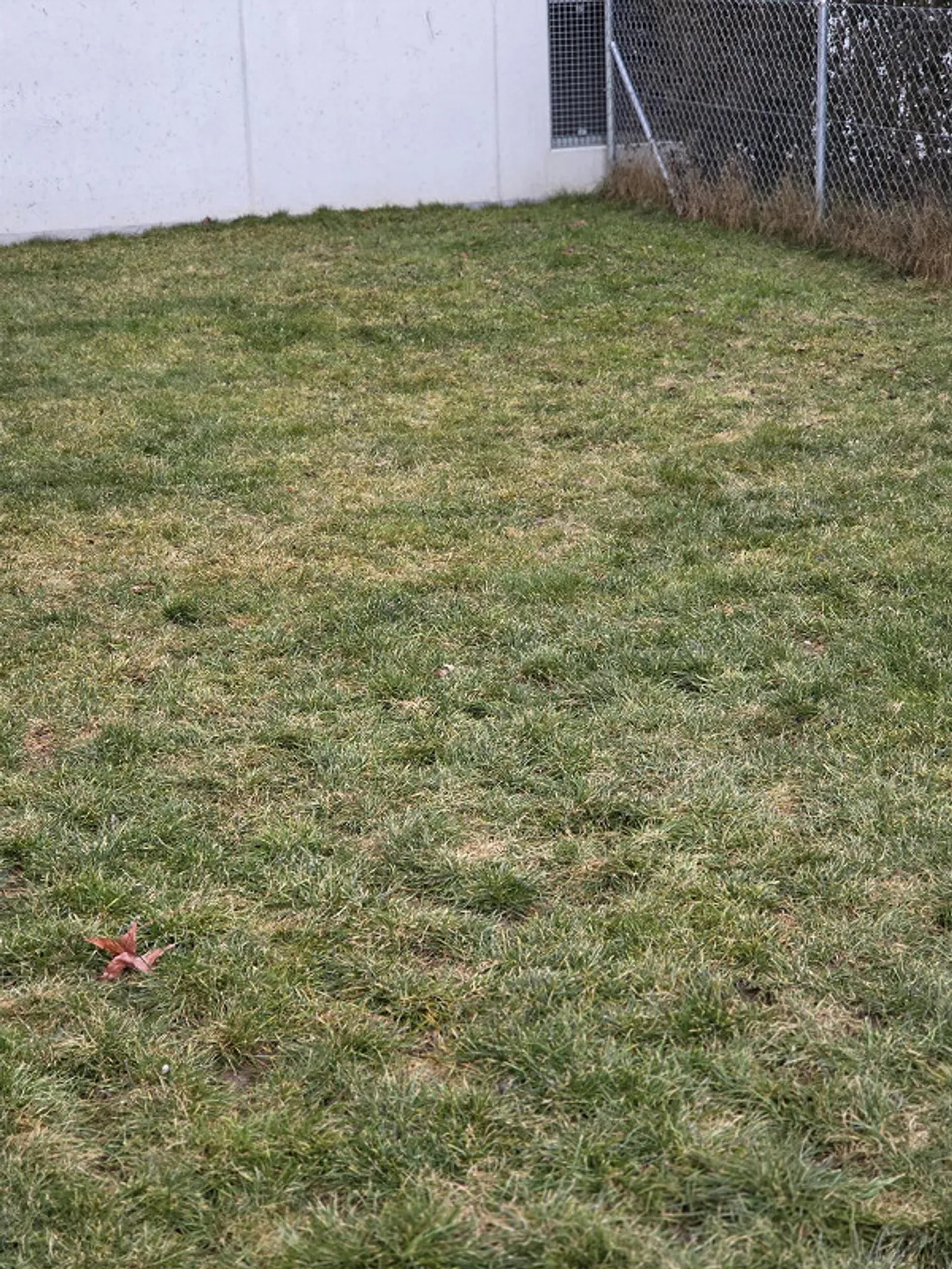 Apartment with 3 1/2 rooms on the ground floor and basement - Photo 22 of 27