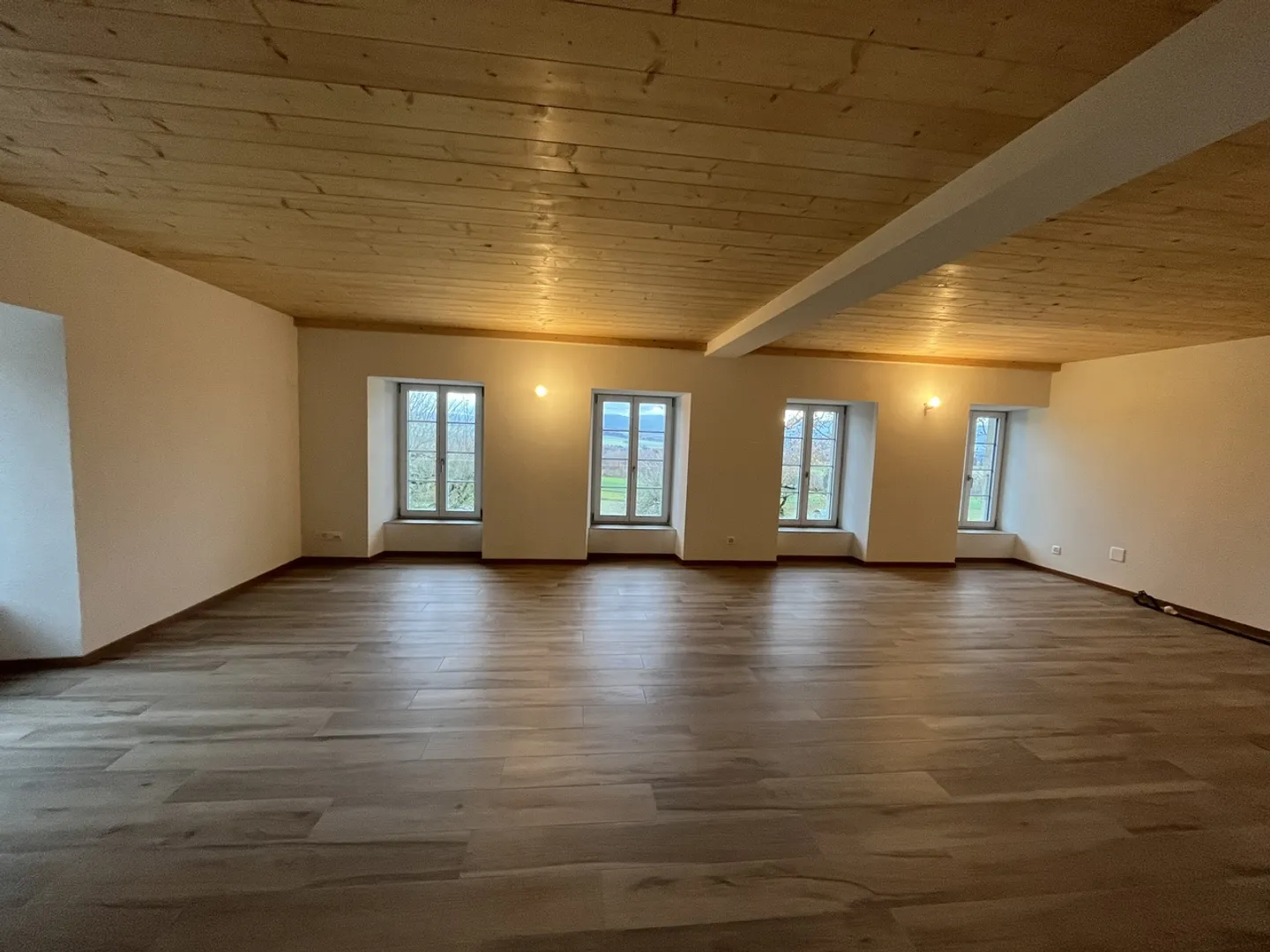 3.5 pièces d'exception à Ogens !  - Foto 7 di 9