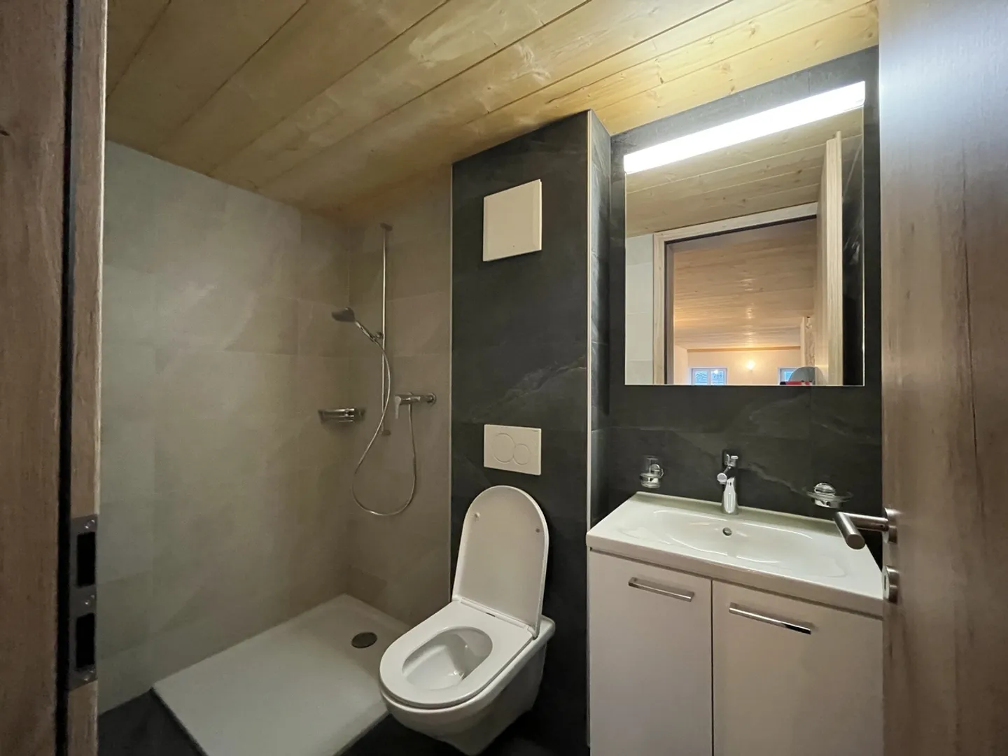 3.5 pièces d'exception à Ogens !  - Foto 3 di 9