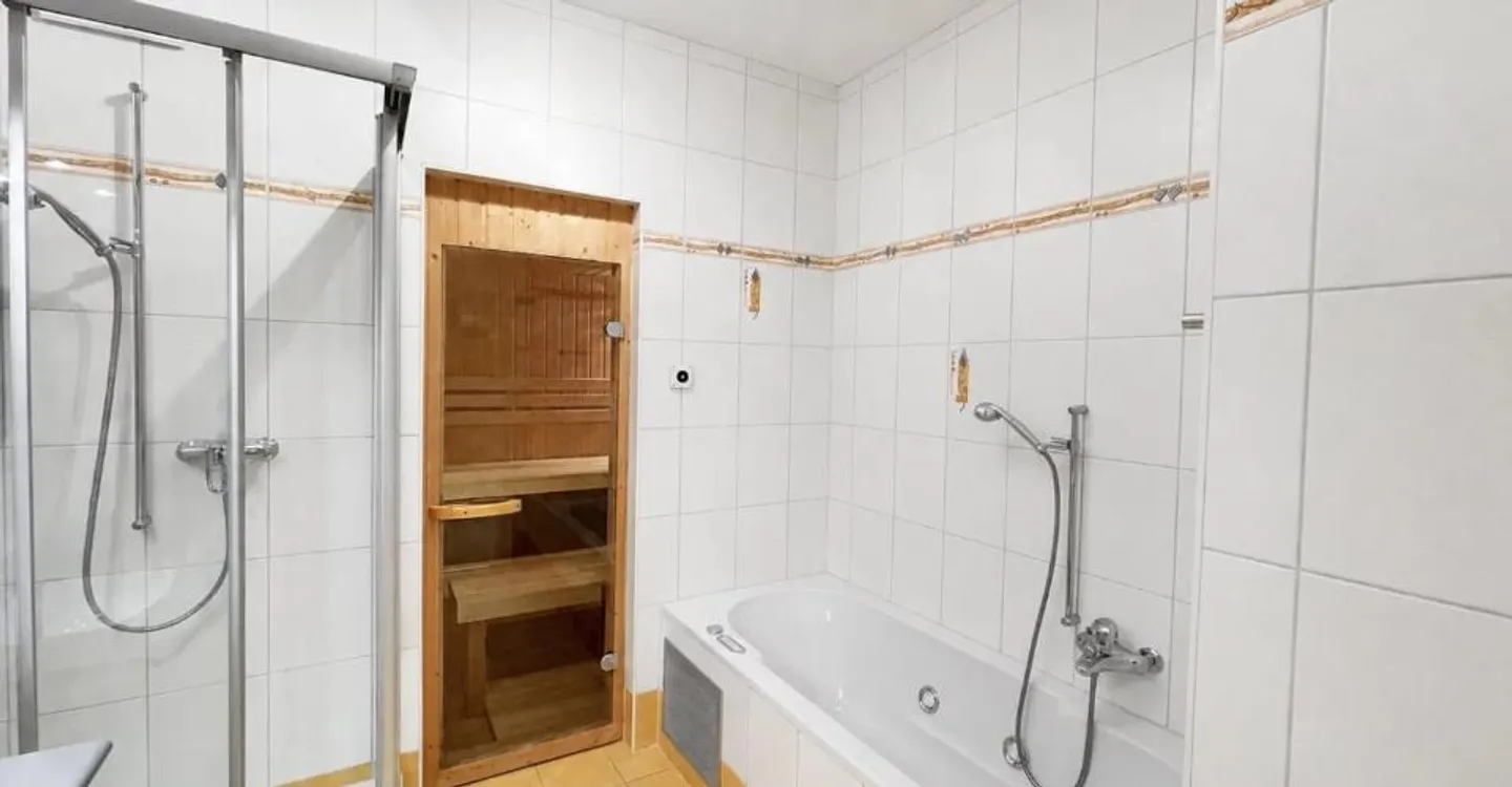Luxurious Penthouse in Sierre - Photo 4 of 8