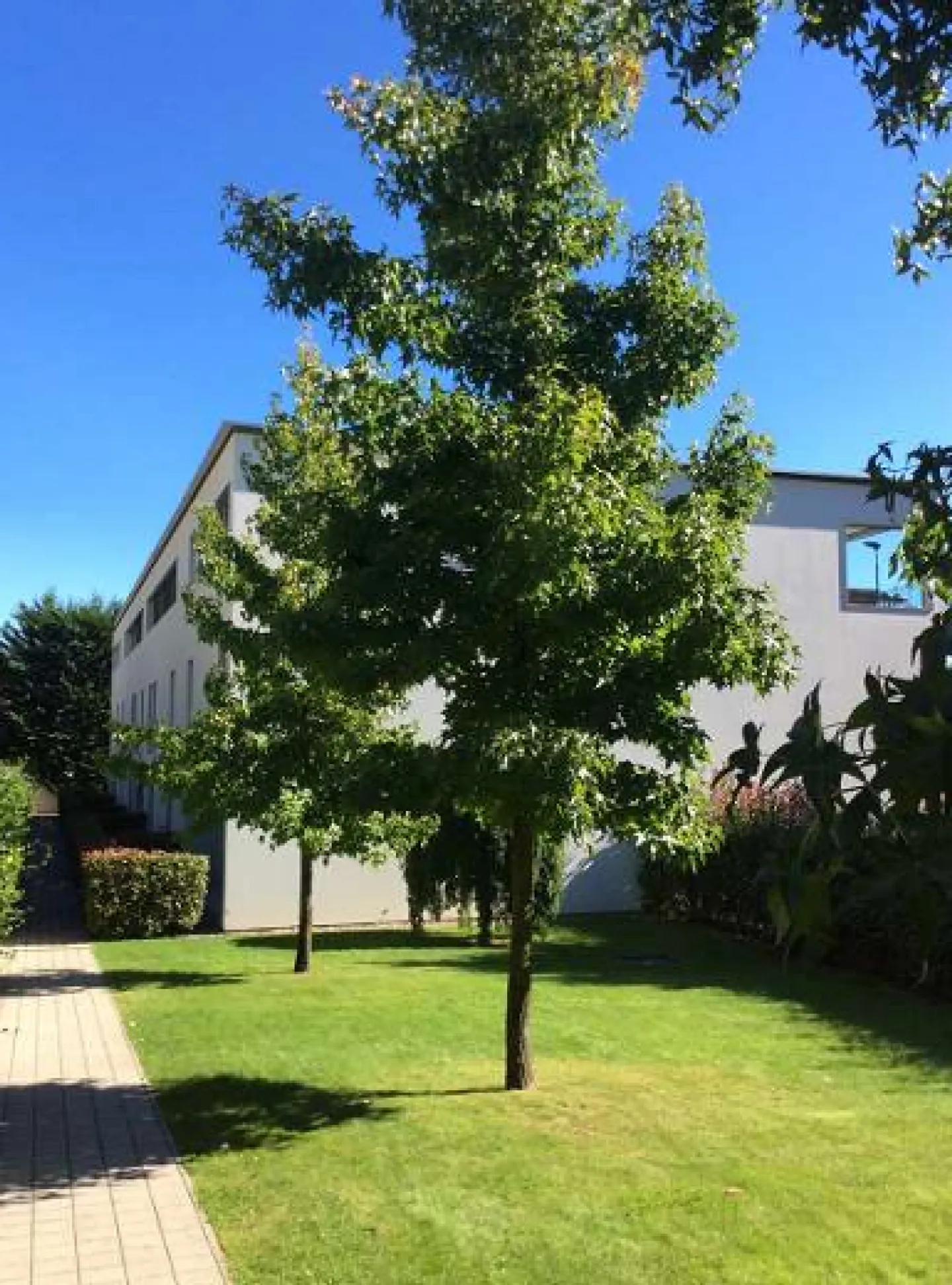 Duplex Elegante con Vista Lago - Foto 3 di 15