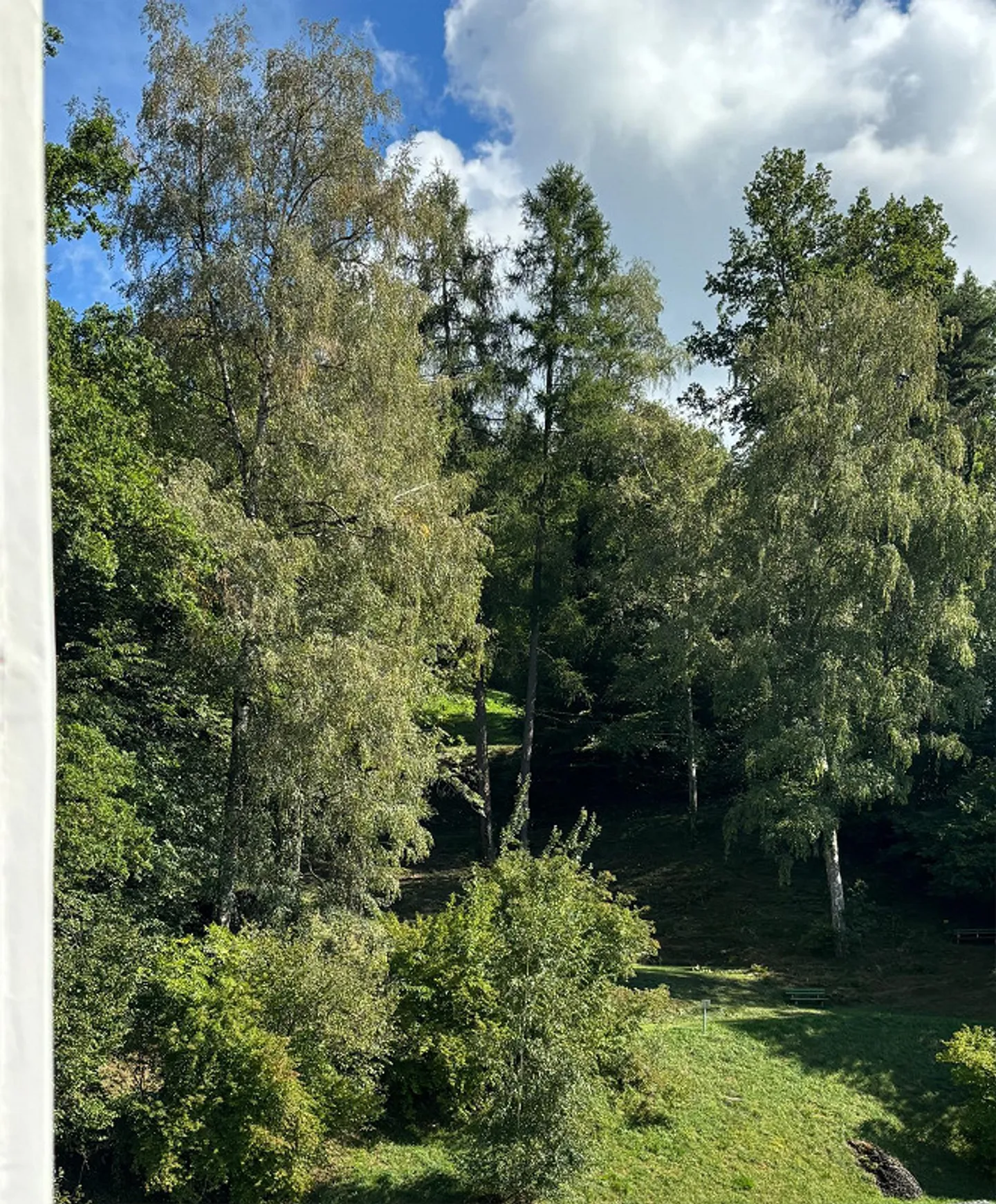 Appartement spacieux de 3 pièces au bord du lac Ägeri avec charme et vue sur le lac - Photo 17 sur 19