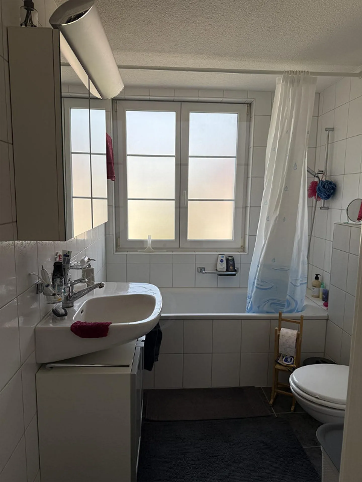 4.5 Room Apartment in Winterberg ZH - Photo 6 of 9
