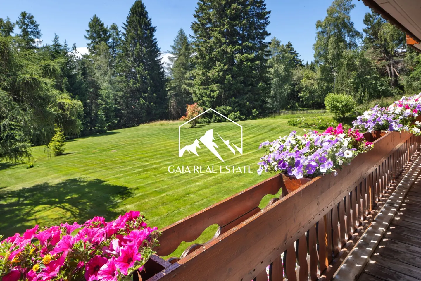 Joy 6 - Photo 1 sur 12