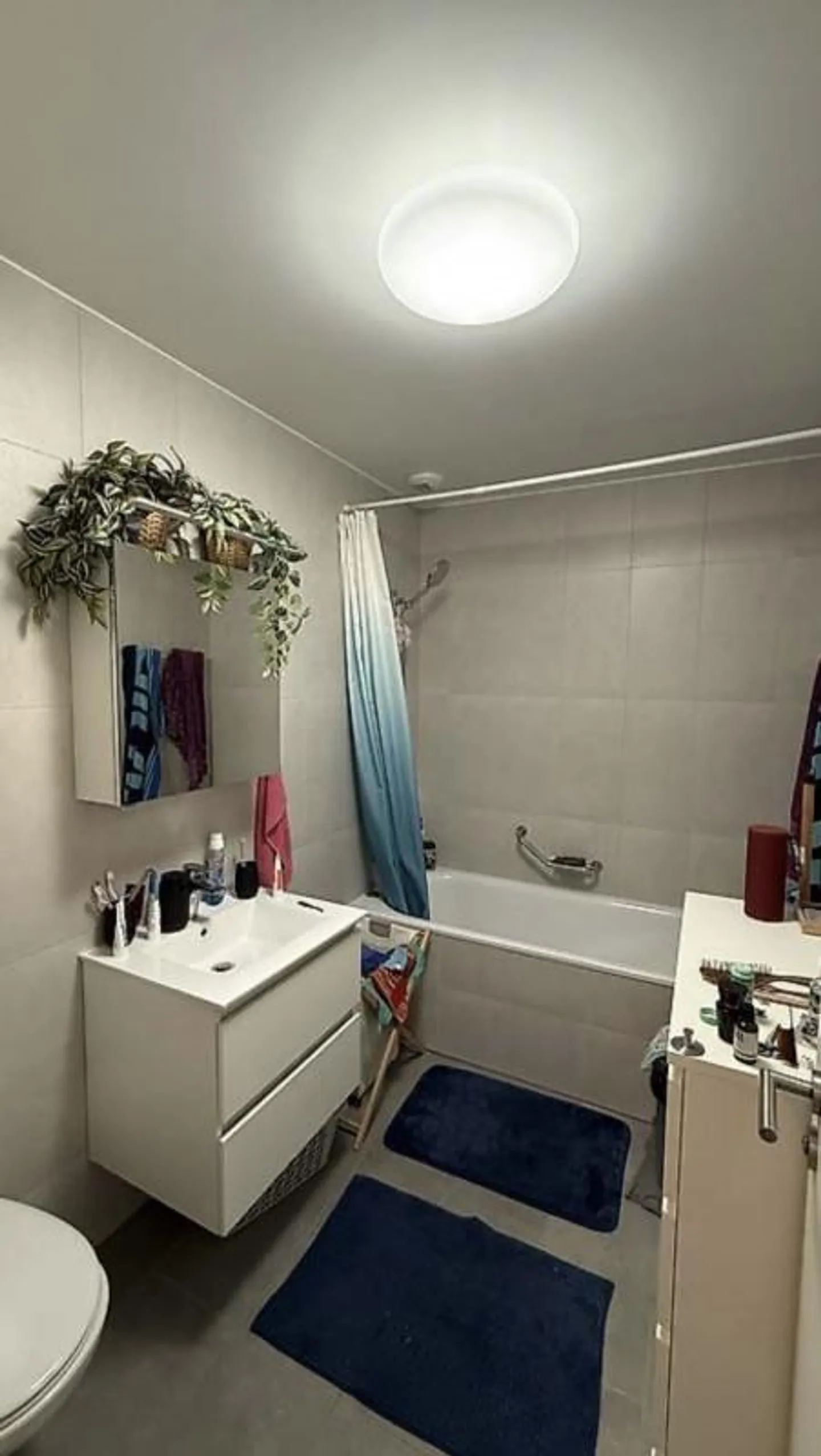 Top-Floor Apartment with Balcony - Photo 8 of 13