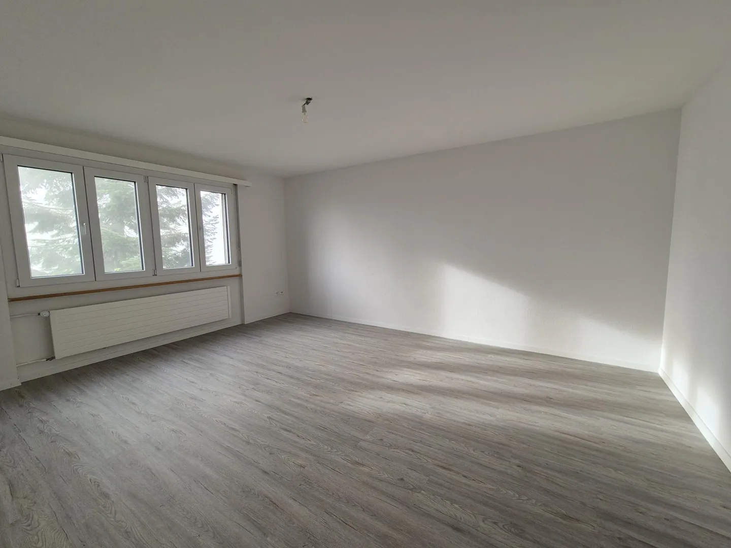 Appartement spacieux en nature - Photo 2 sur 8