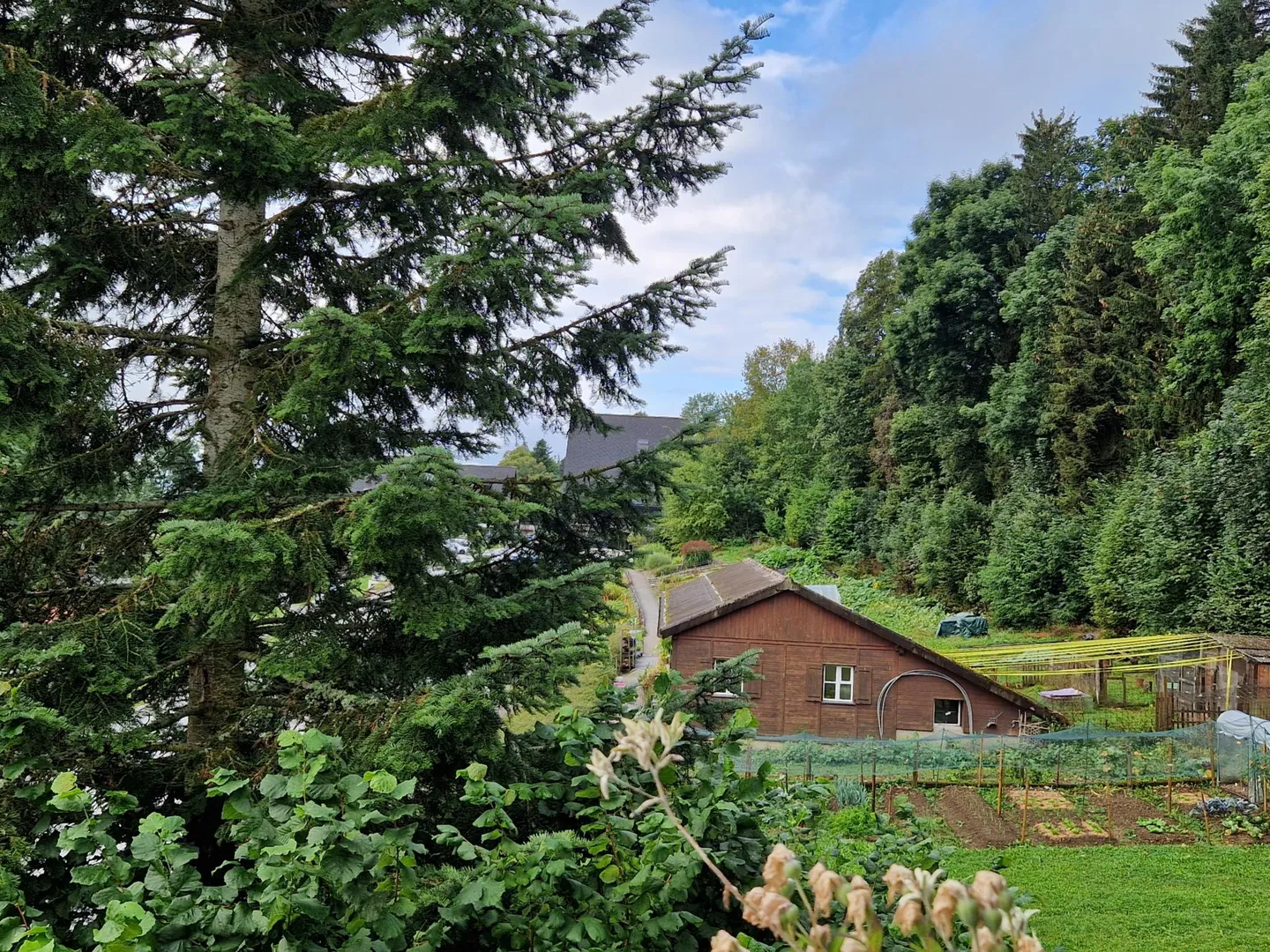 Appartement spacieux en nature - Photo 6 sur 8