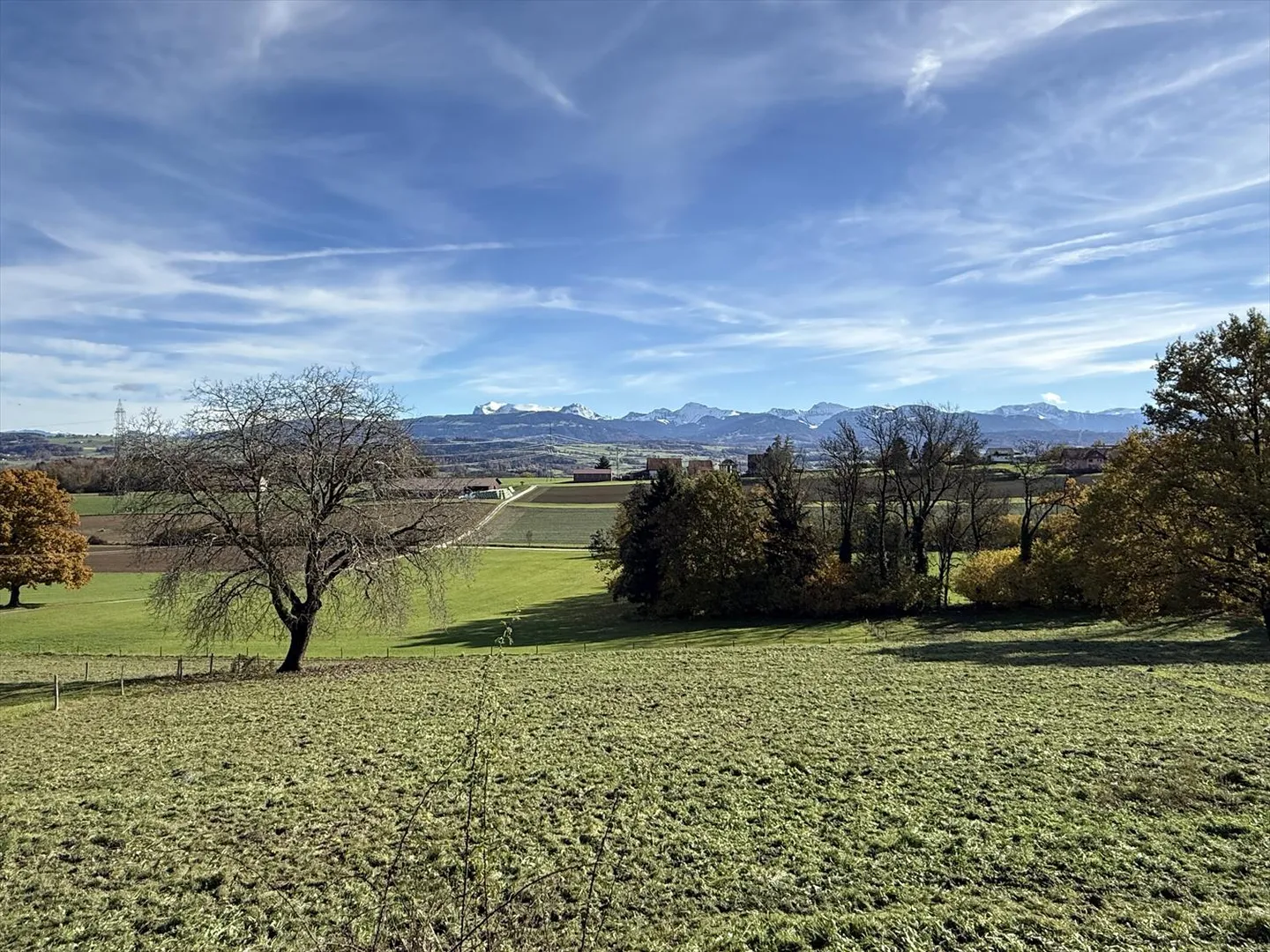 Transformation/Renovation Project - Possibility of Creating Two Apartments - Photo 5 of 16