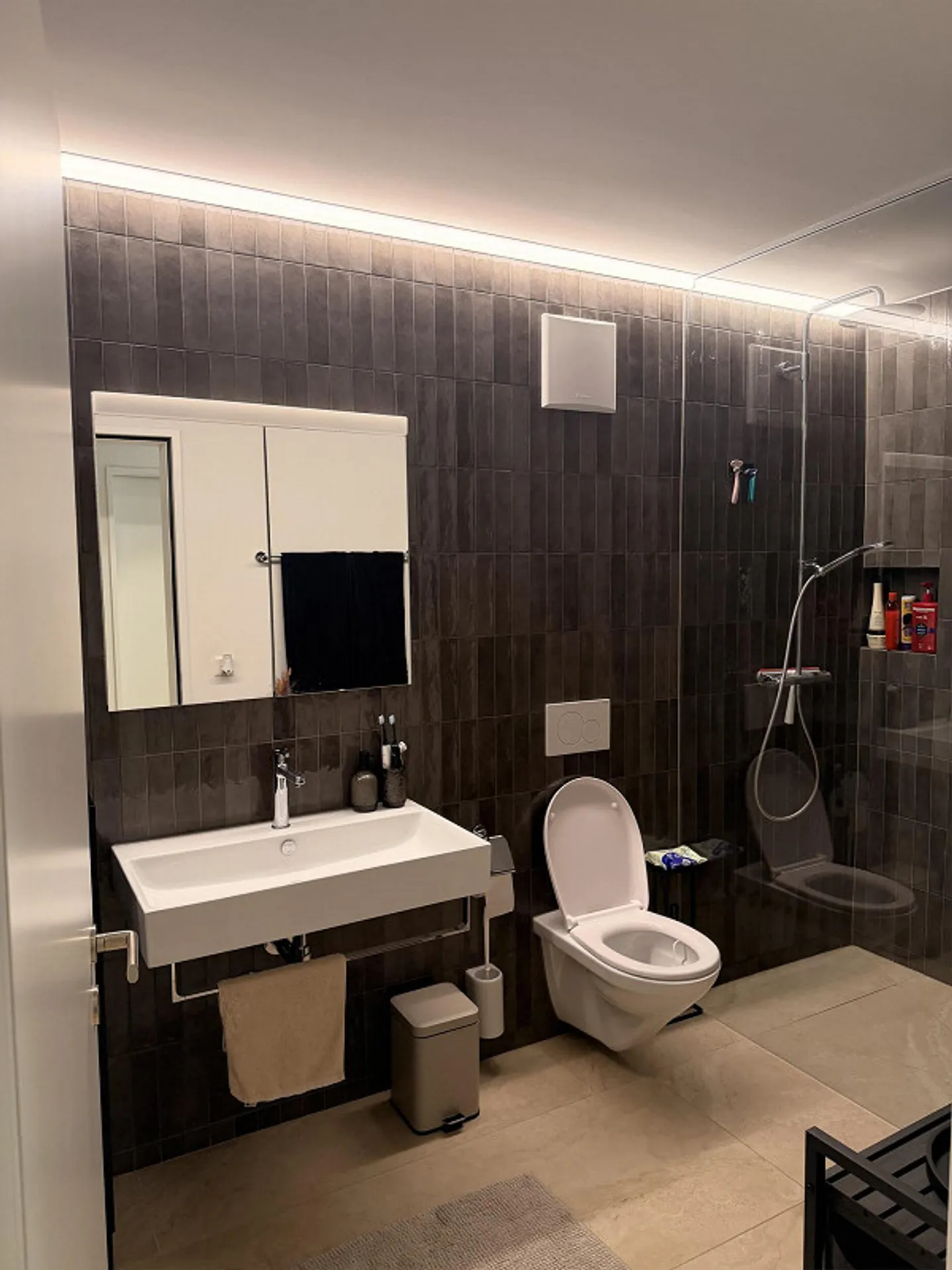 Modernes Apartment mit Bergblick - Foto 8 von 17