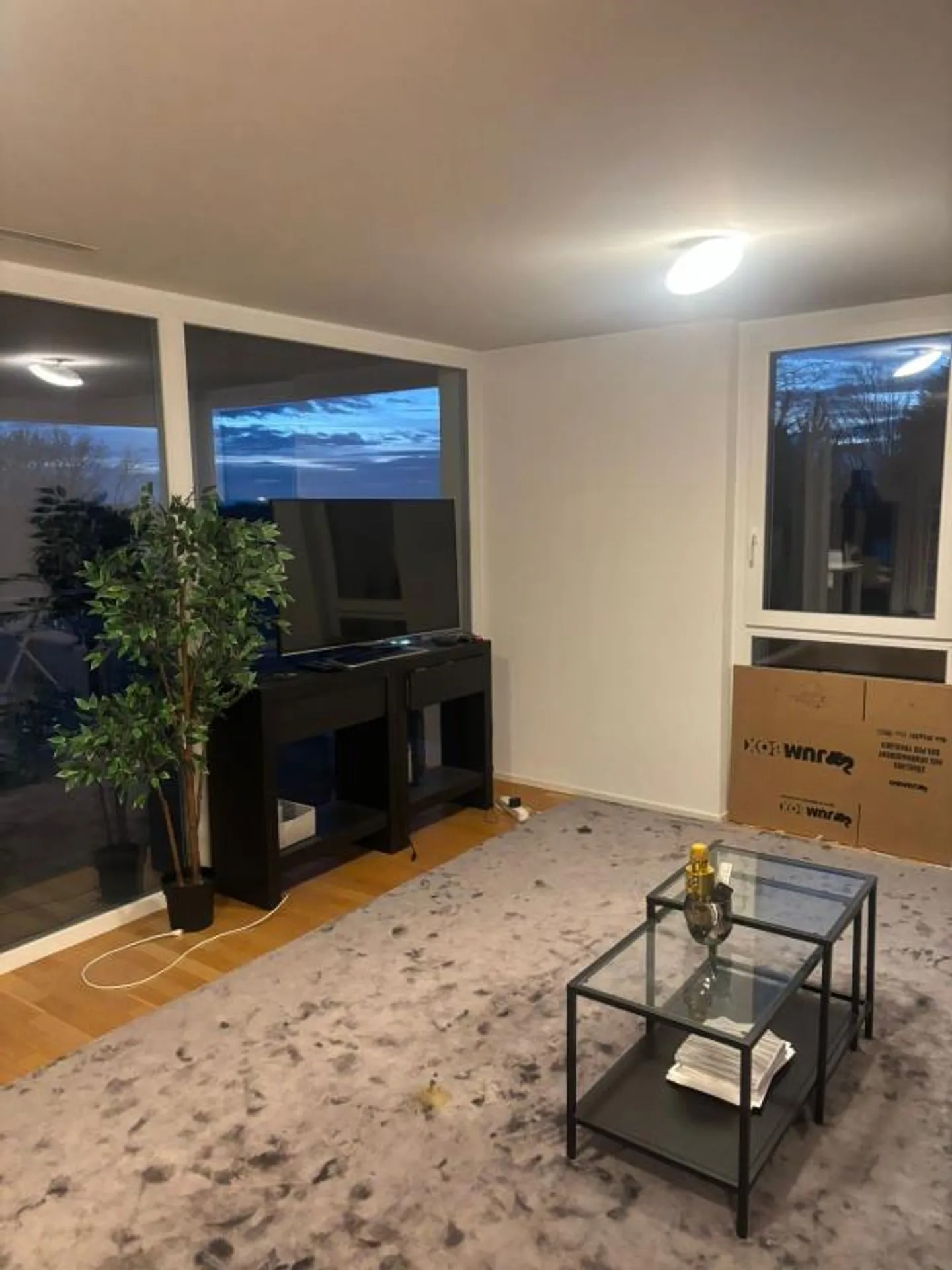 Spacieux appartement avec balcon - Lausanne - Foto 3 von 10