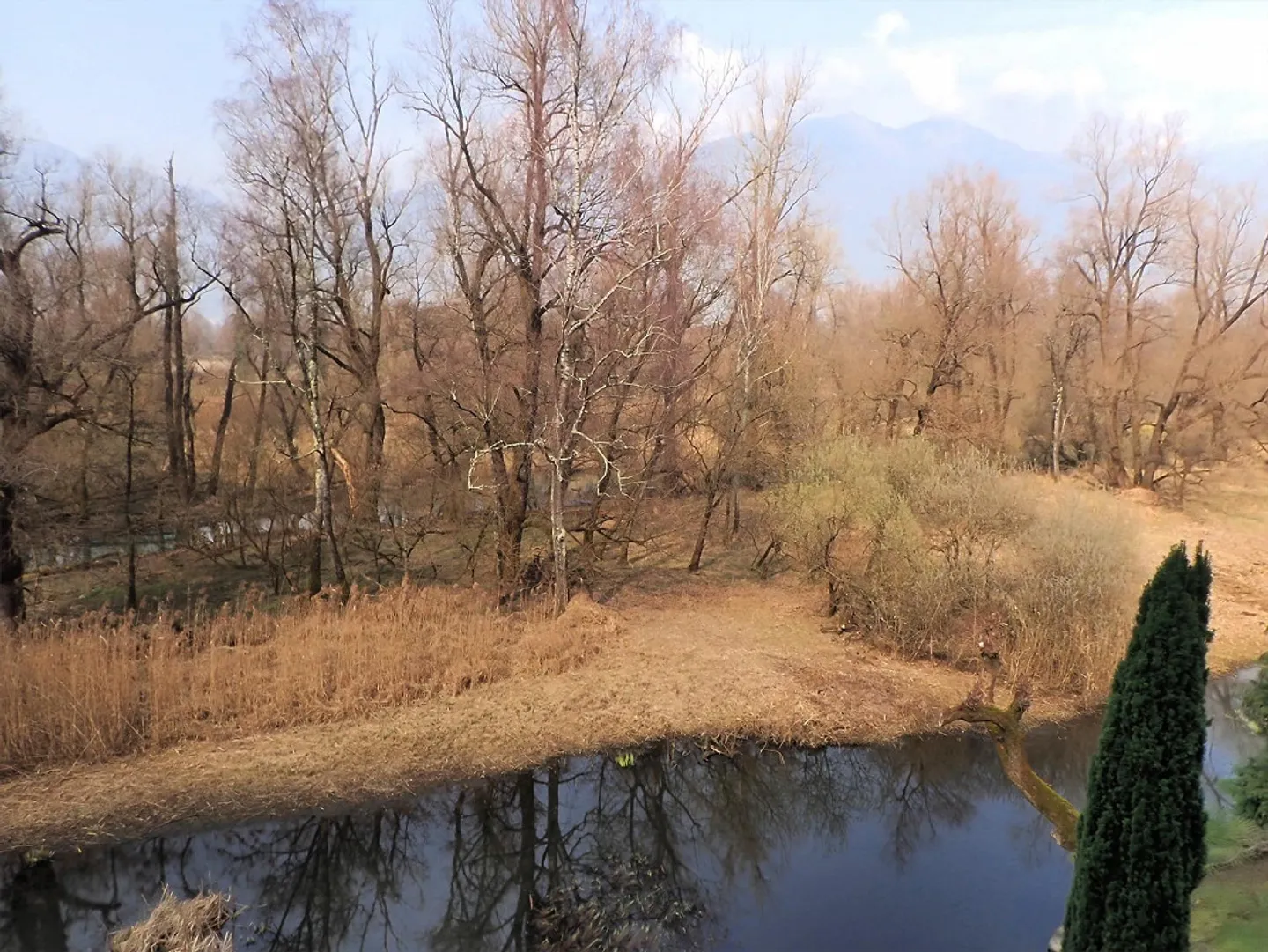 6 Room - Single-family house attached on one side - Photo 9 of 20