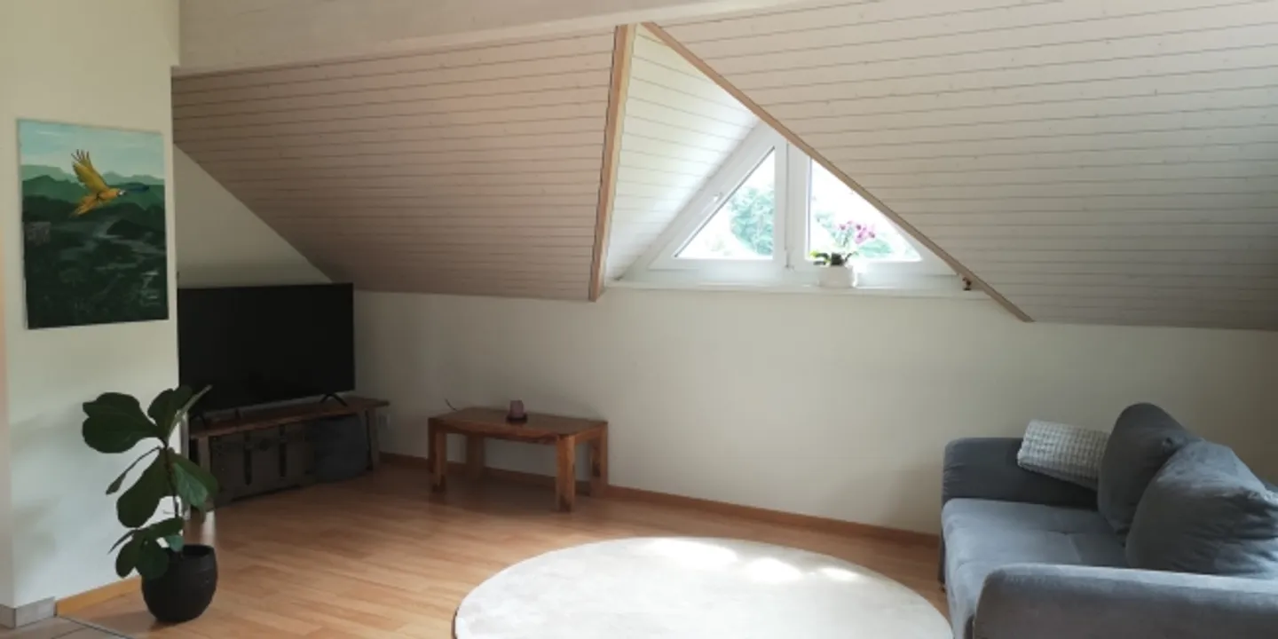 2½ ROOM ATTIC APARTMENT IN NETSTAL (GL), FURNISHED, TEMPORARY - Photo 3 of 10