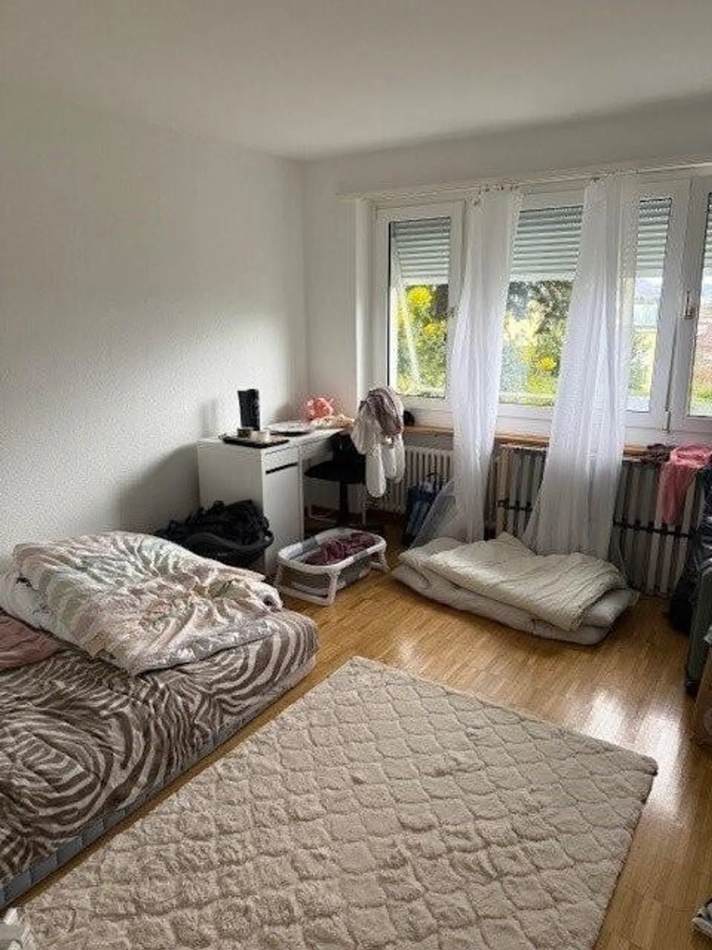 Affittiamo il seguente studio di 2 stanze a partire dal 01.05.2026 - Foto 5 di 8