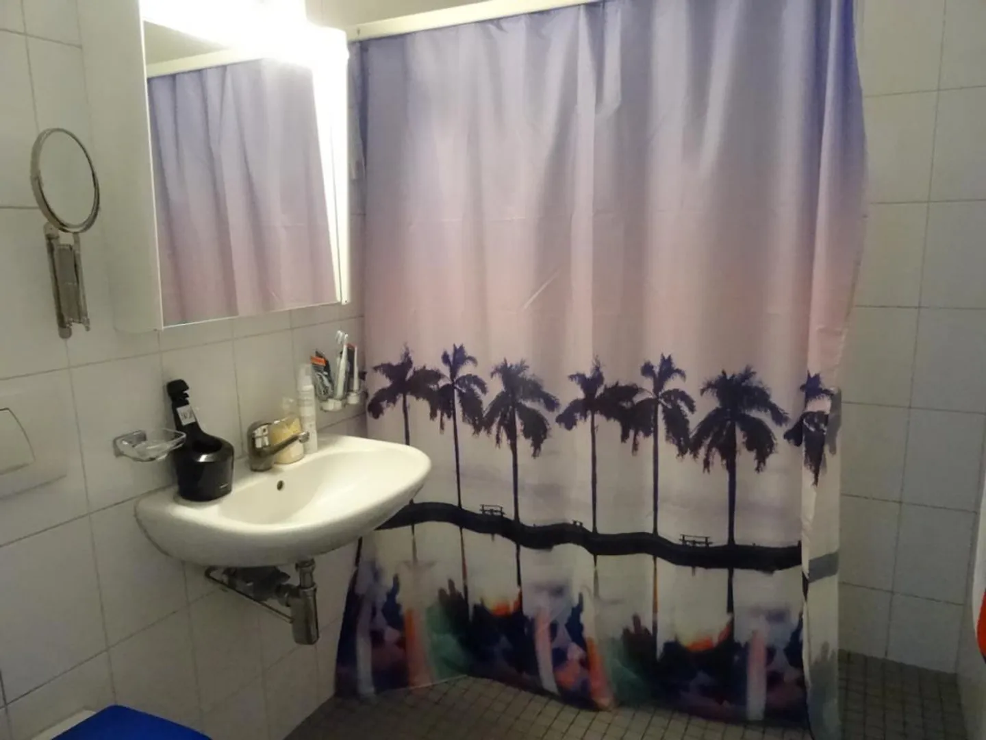 Spacious Apartment near Löwencenter - Photo 5 of 6